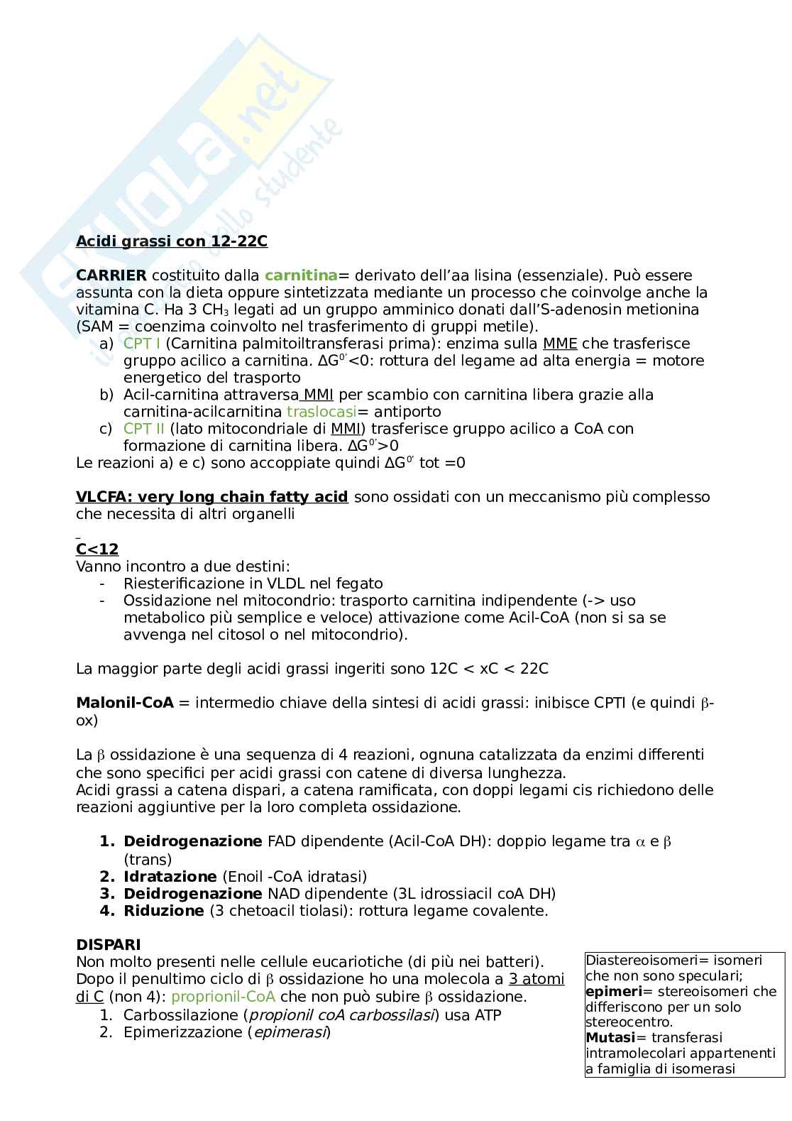 Appunti Biochimica (prof. Prinetti) Pag. 31