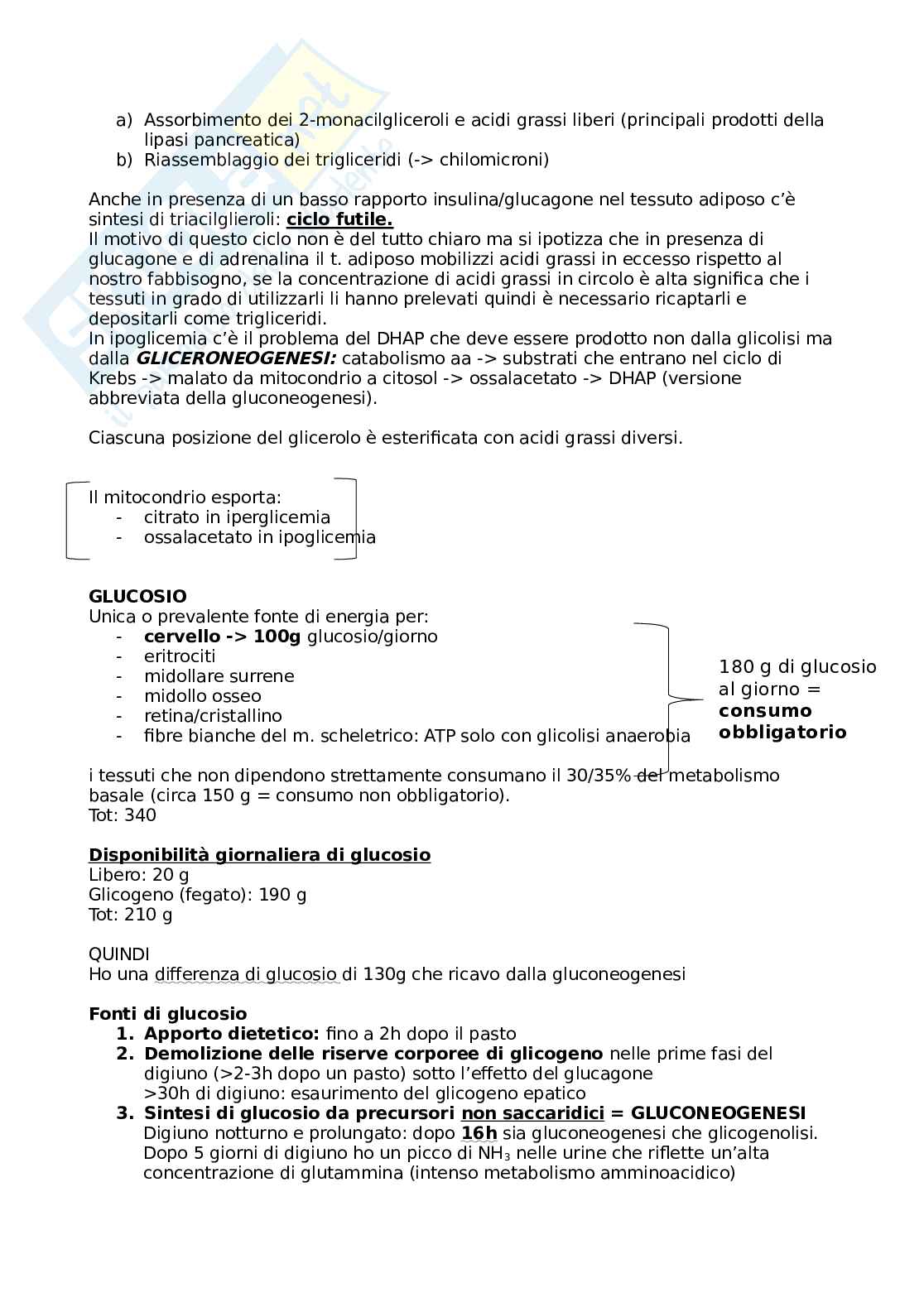 Appunti Biochimica (prof. Prinetti) Pag. 51