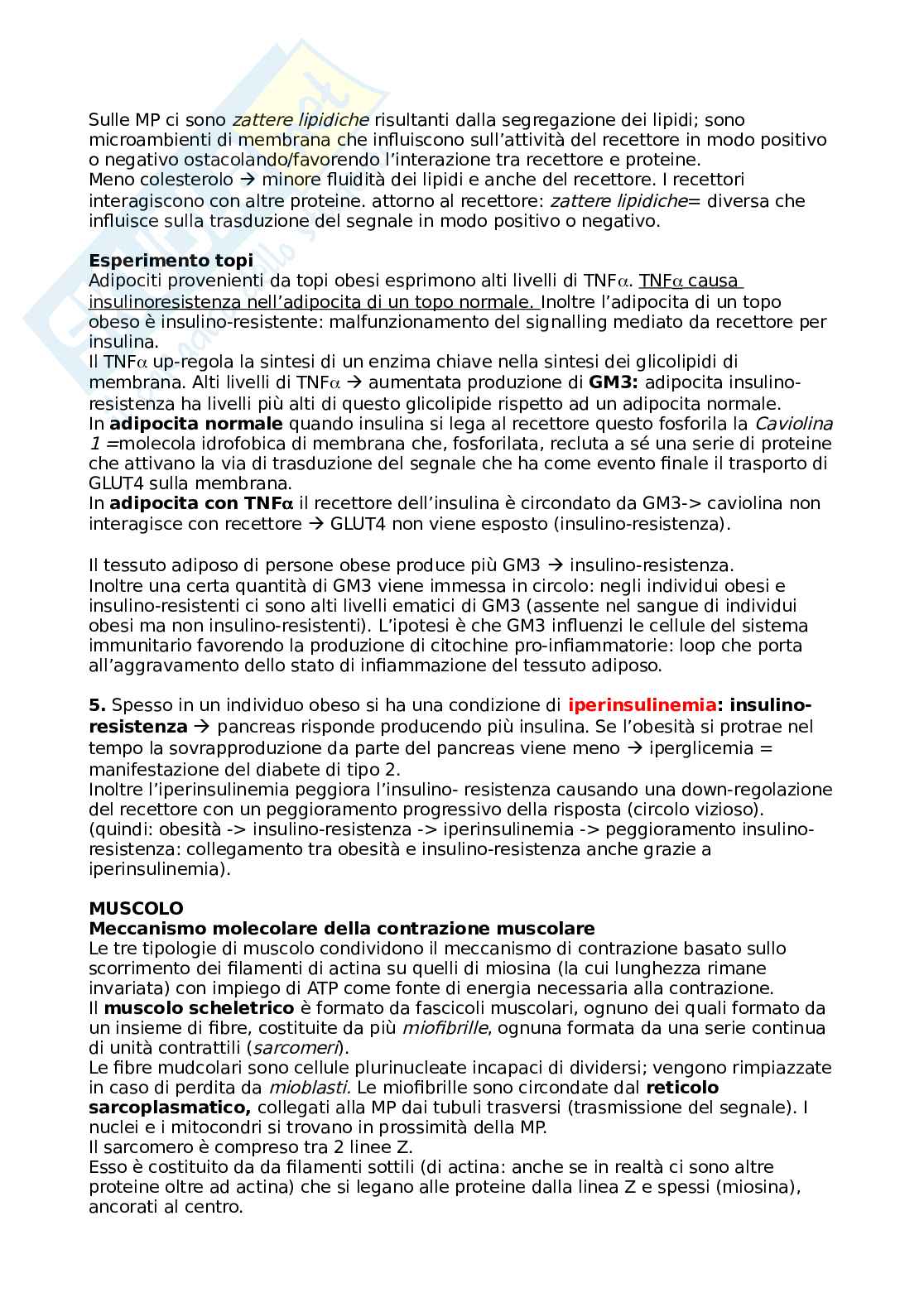 Appunti Biochimica (prof. Prinetti) Pag. 91