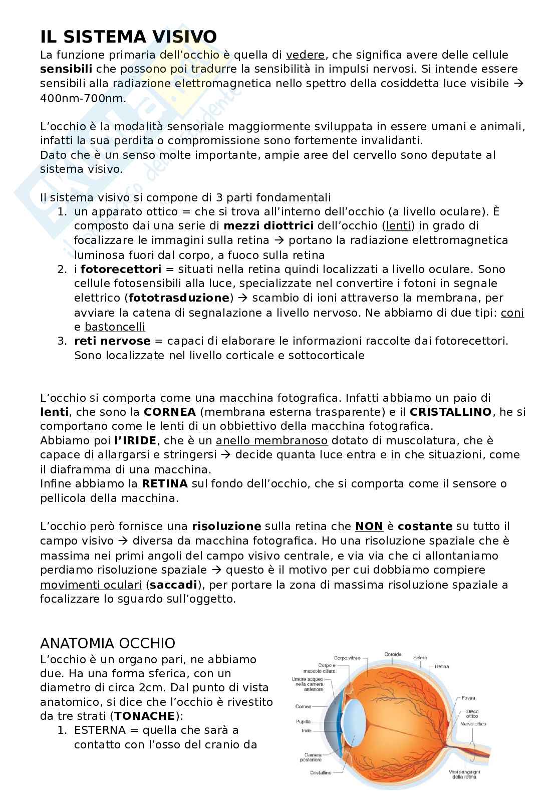 Sistema visivo Pag. 1