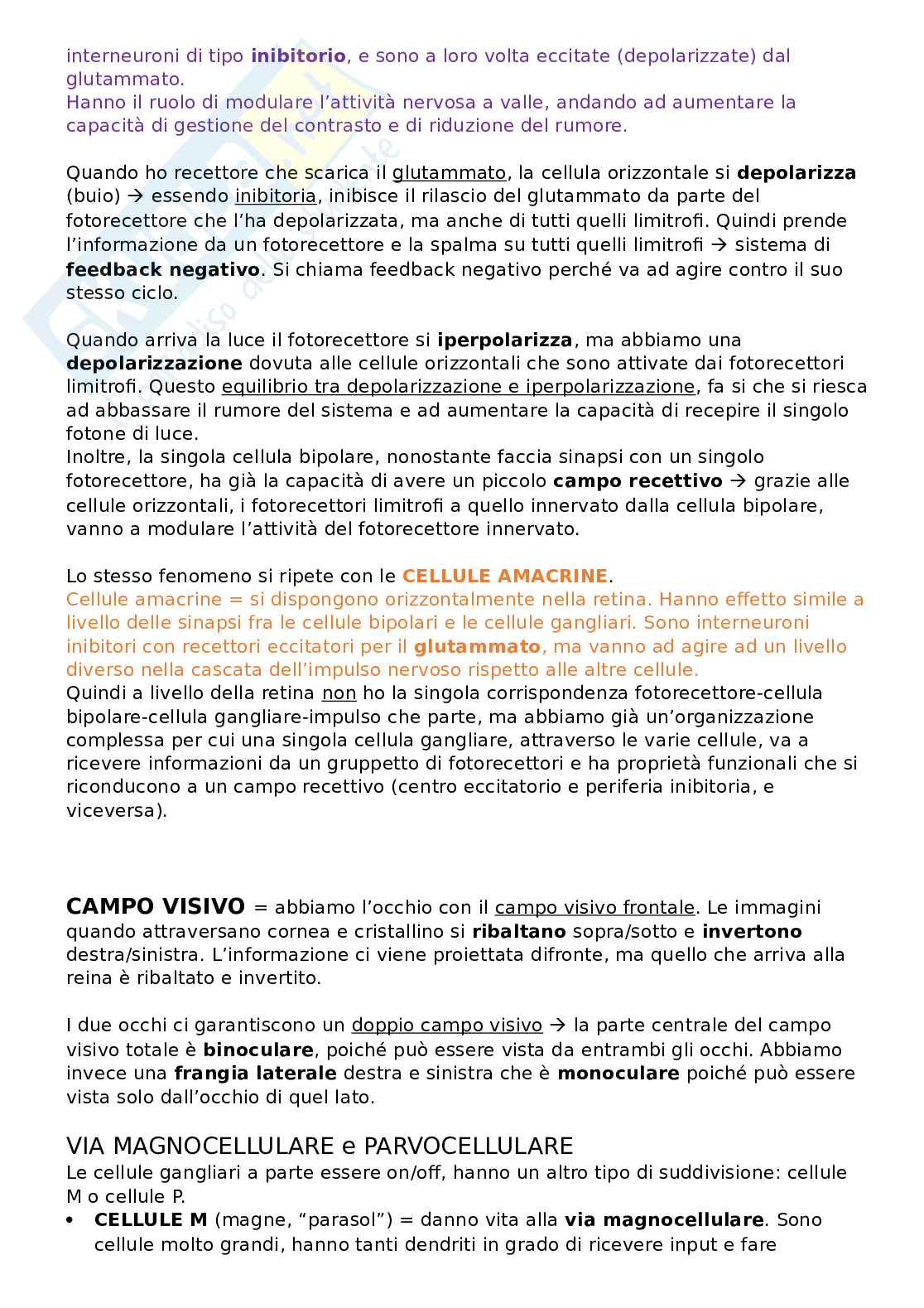 Sistema visivo Pag. 11