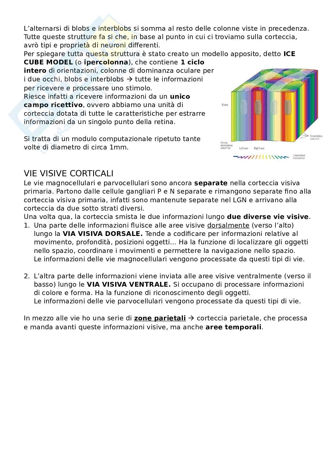 Sistema visivo Pag. 16