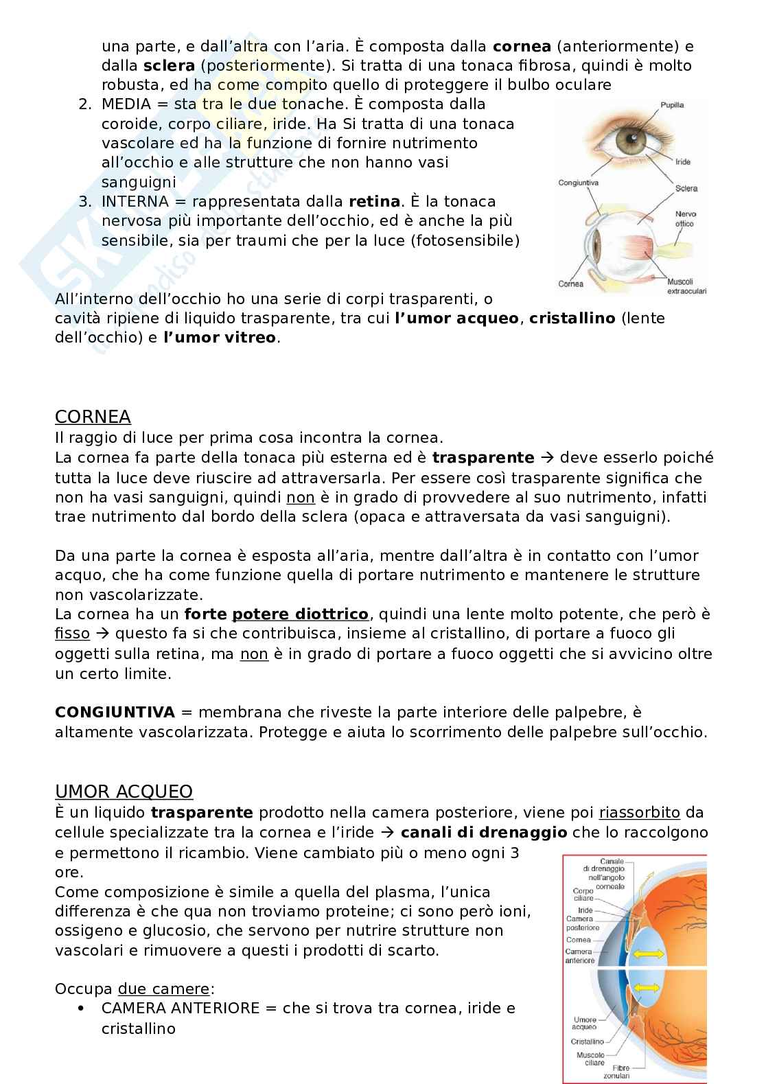 Sistema visivo Pag. 2