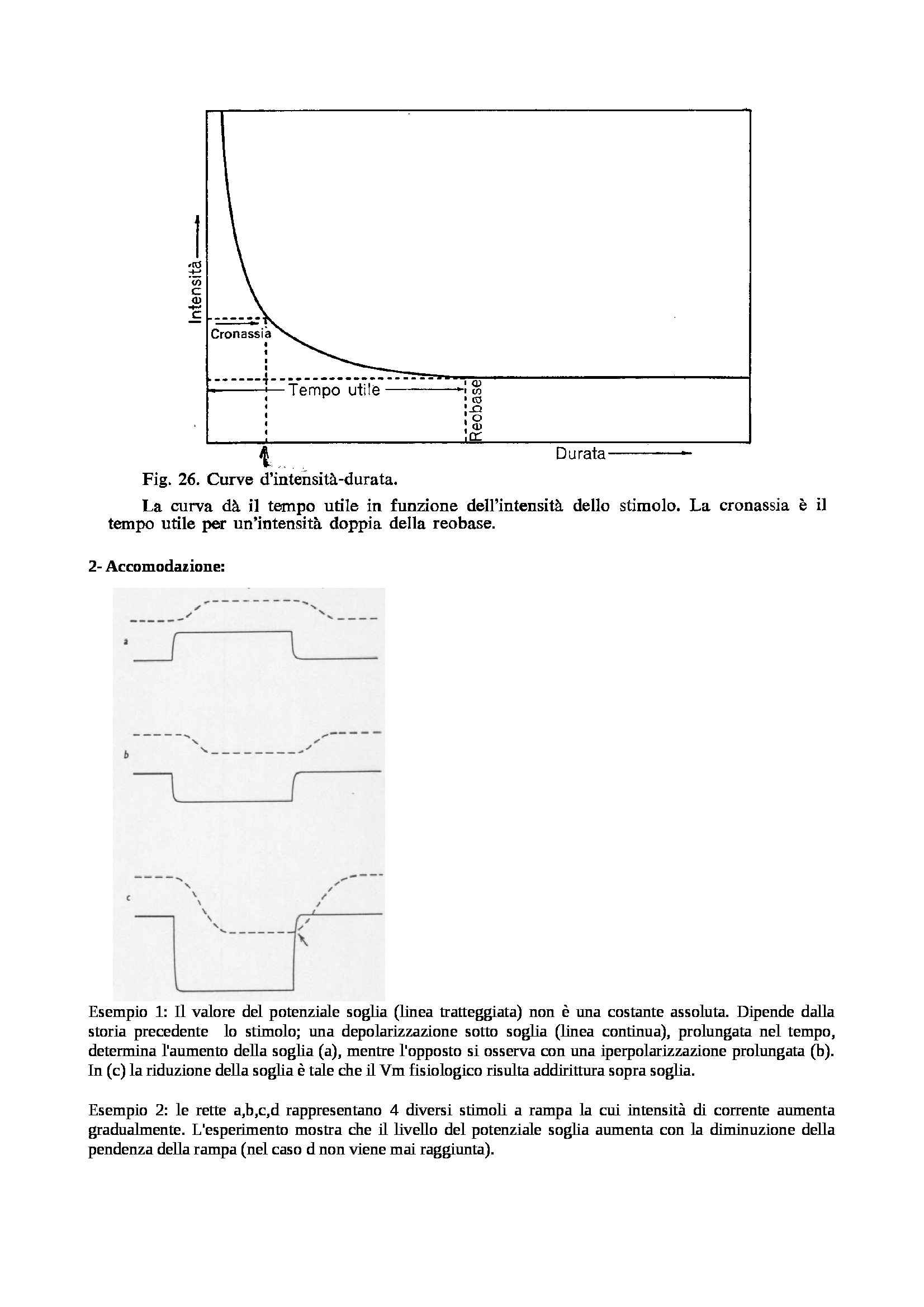 Fisiologia generale - Appunti Pag. 21