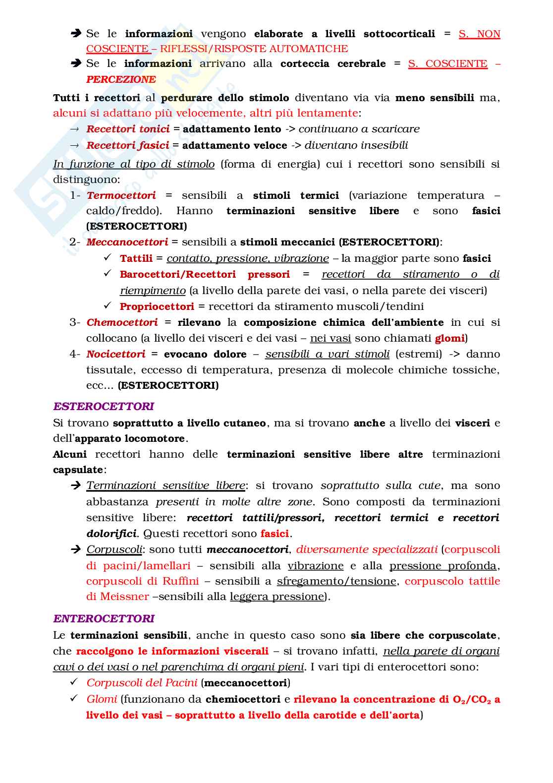 Recettori, sistema nervoso Pag. 2