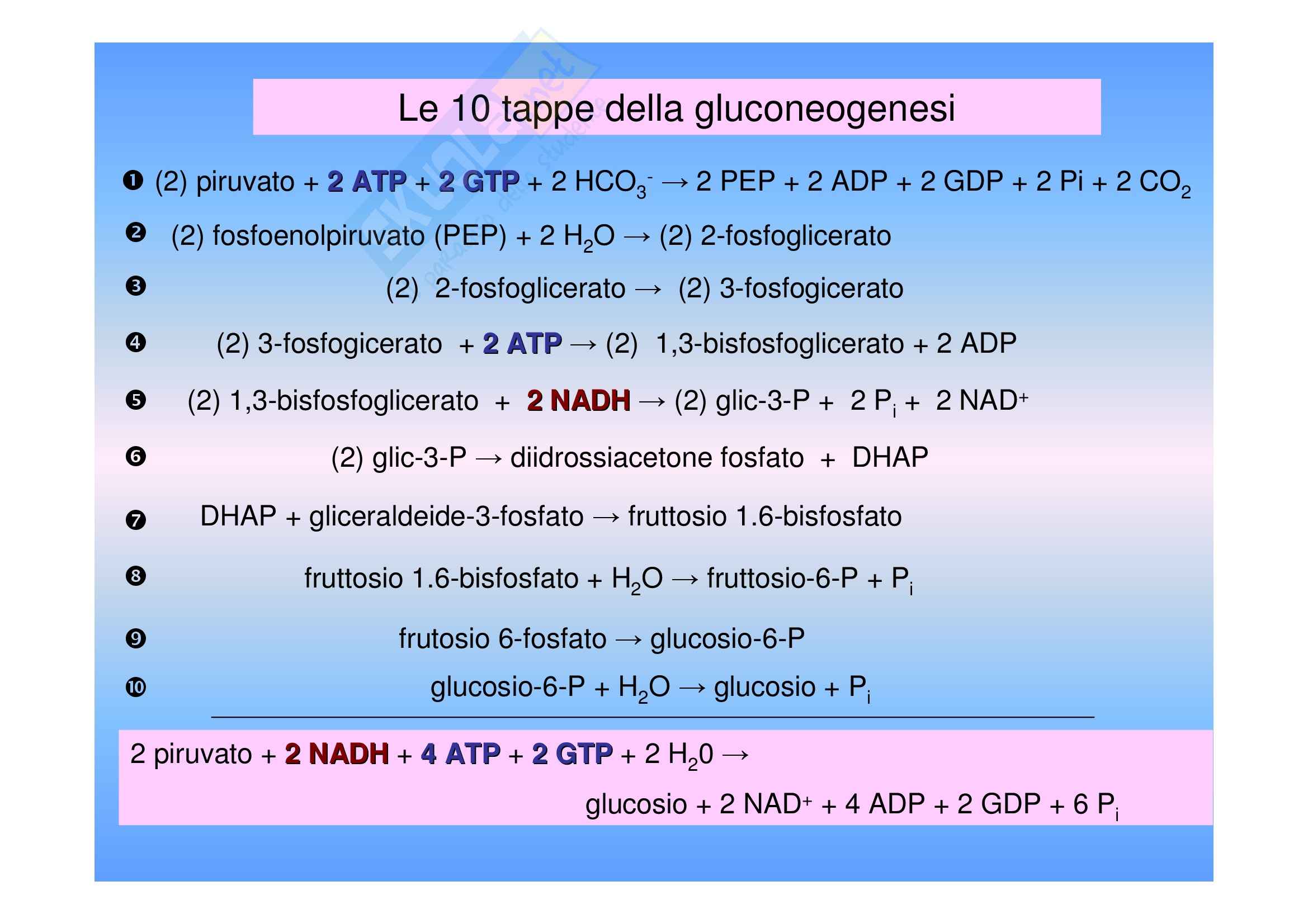 Biochimica II – Lezione 8 – Slides Pag. 16