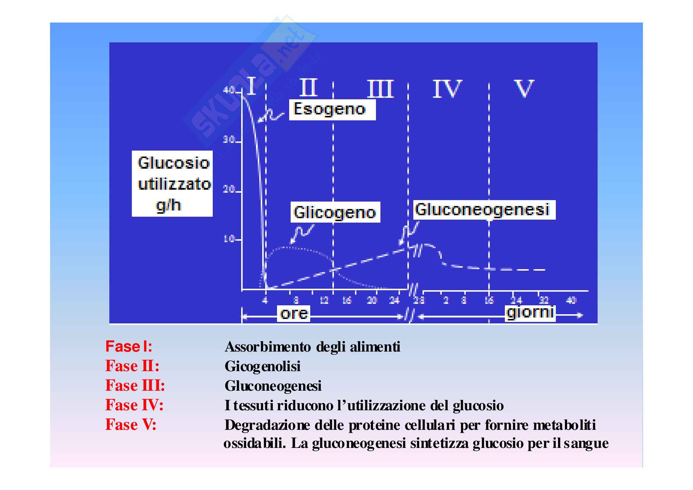 Biochimica II – Lezione 8 – Slides Pag. 2
