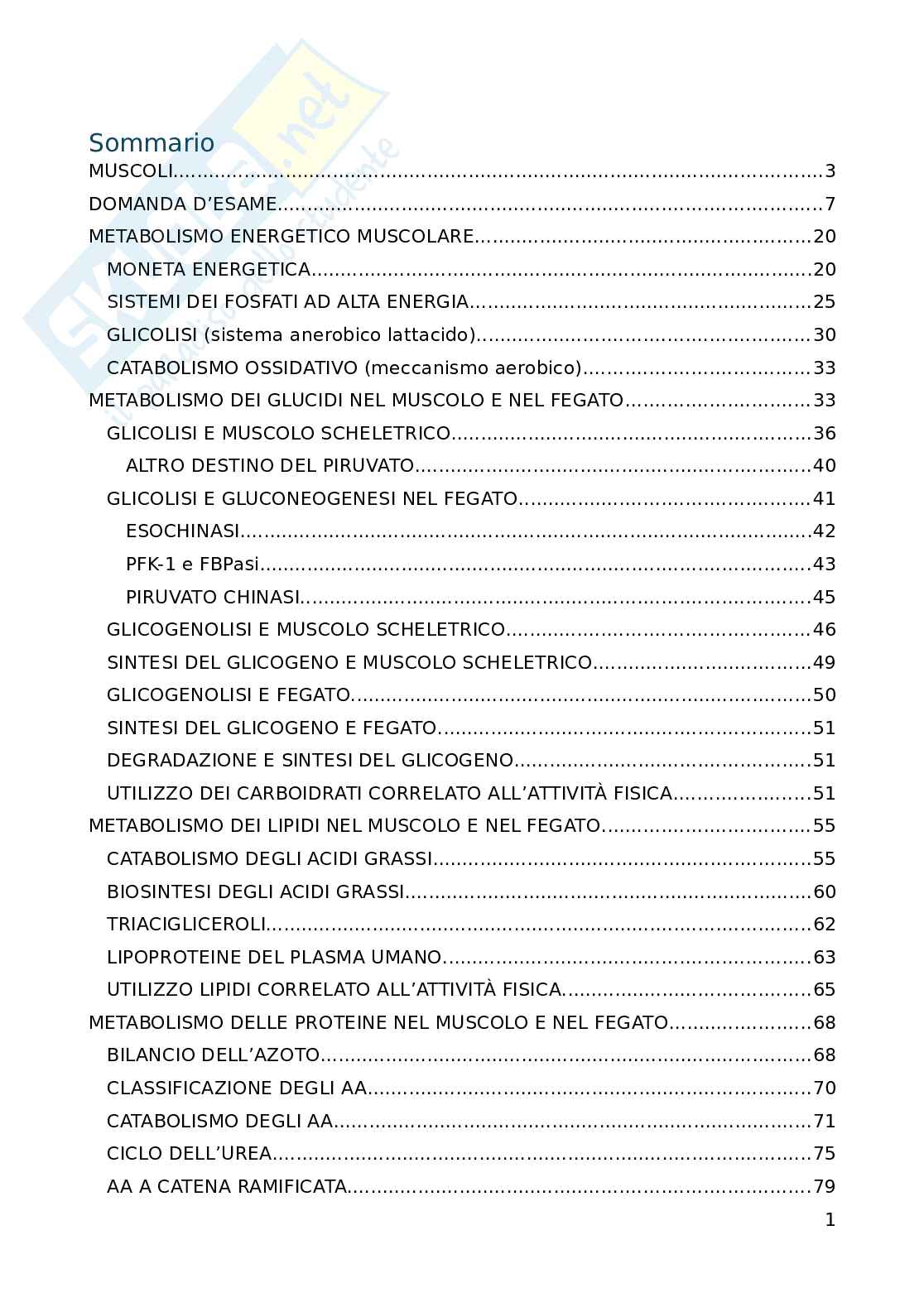 Biochimica dell'esercizio fisico Pag. 2