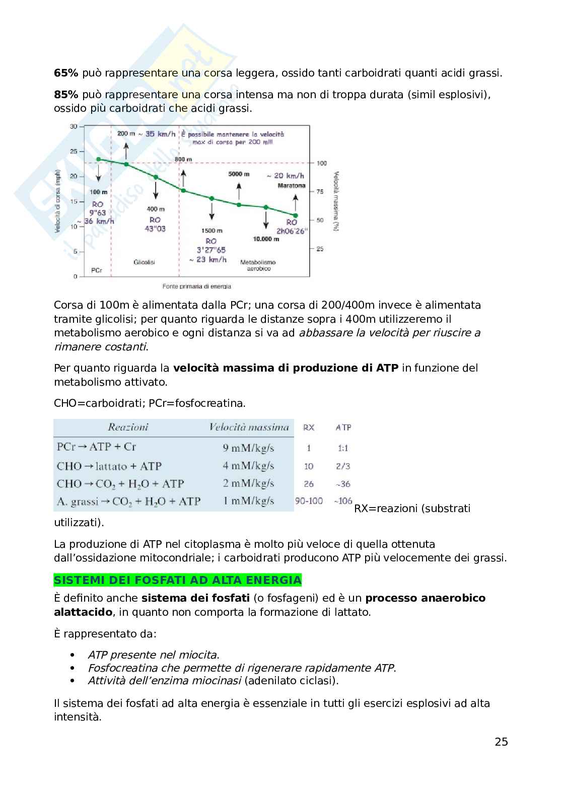 Biochimica dell'esercizio fisico Pag. 26
