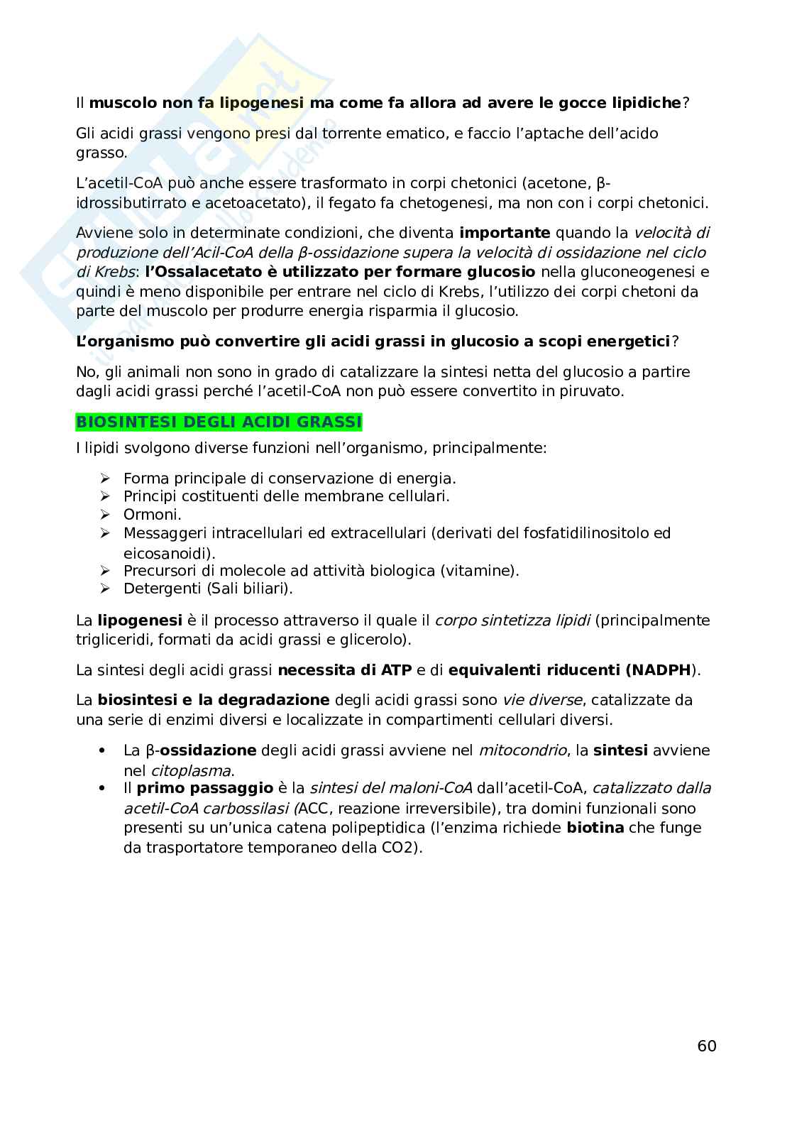 Biochimica dell'esercizio fisico Pag. 61