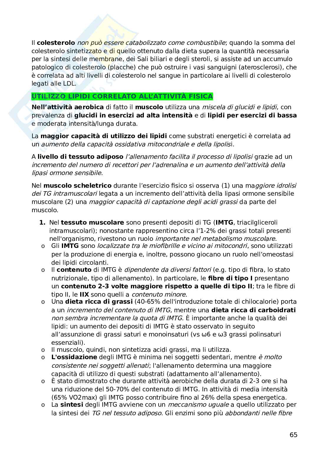 Biochimica dell'esercizio fisico Pag. 66