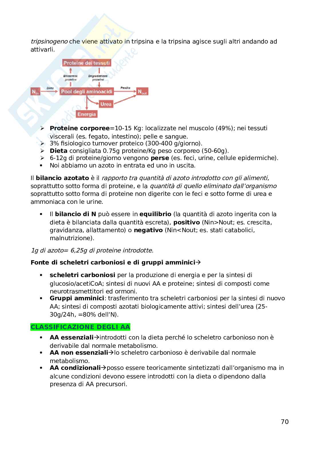 Biochimica dell'esercizio fisico Pag. 71