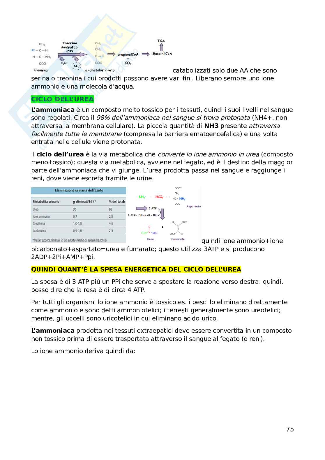 Biochimica dell'esercizio fisico Pag. 76