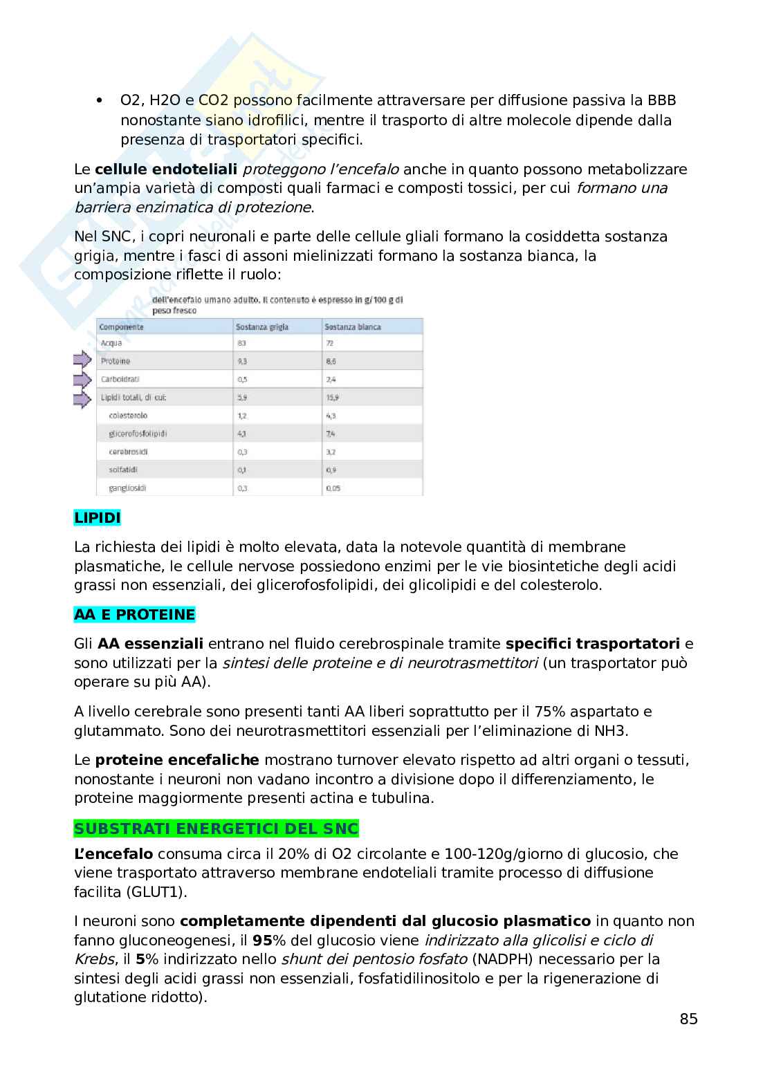 Biochimica dell'esercizio fisico Pag. 86