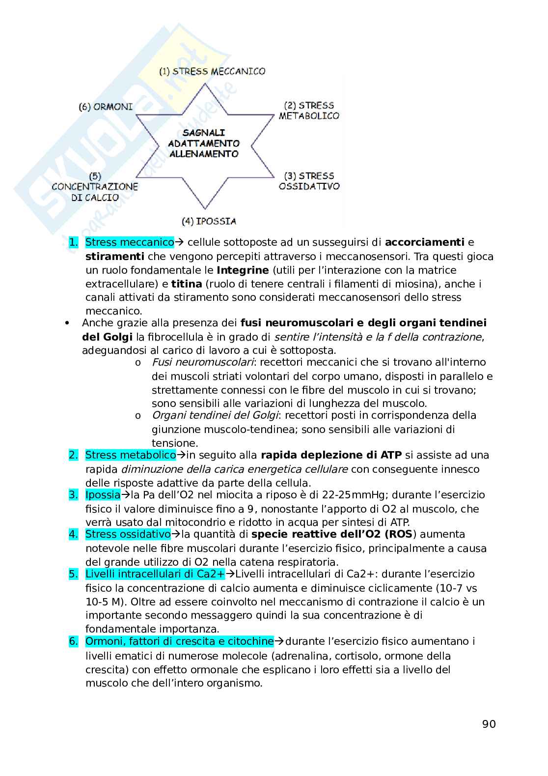 Biochimica dell'esercizio fisico Pag. 91