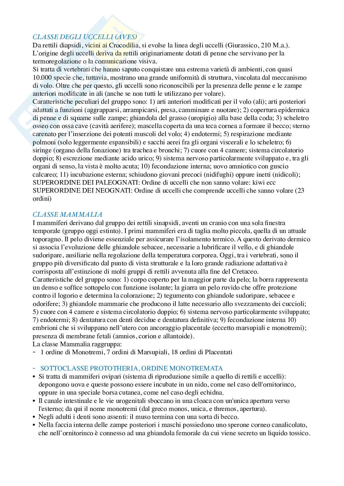 Appunti di Zoologia  Pag. 91