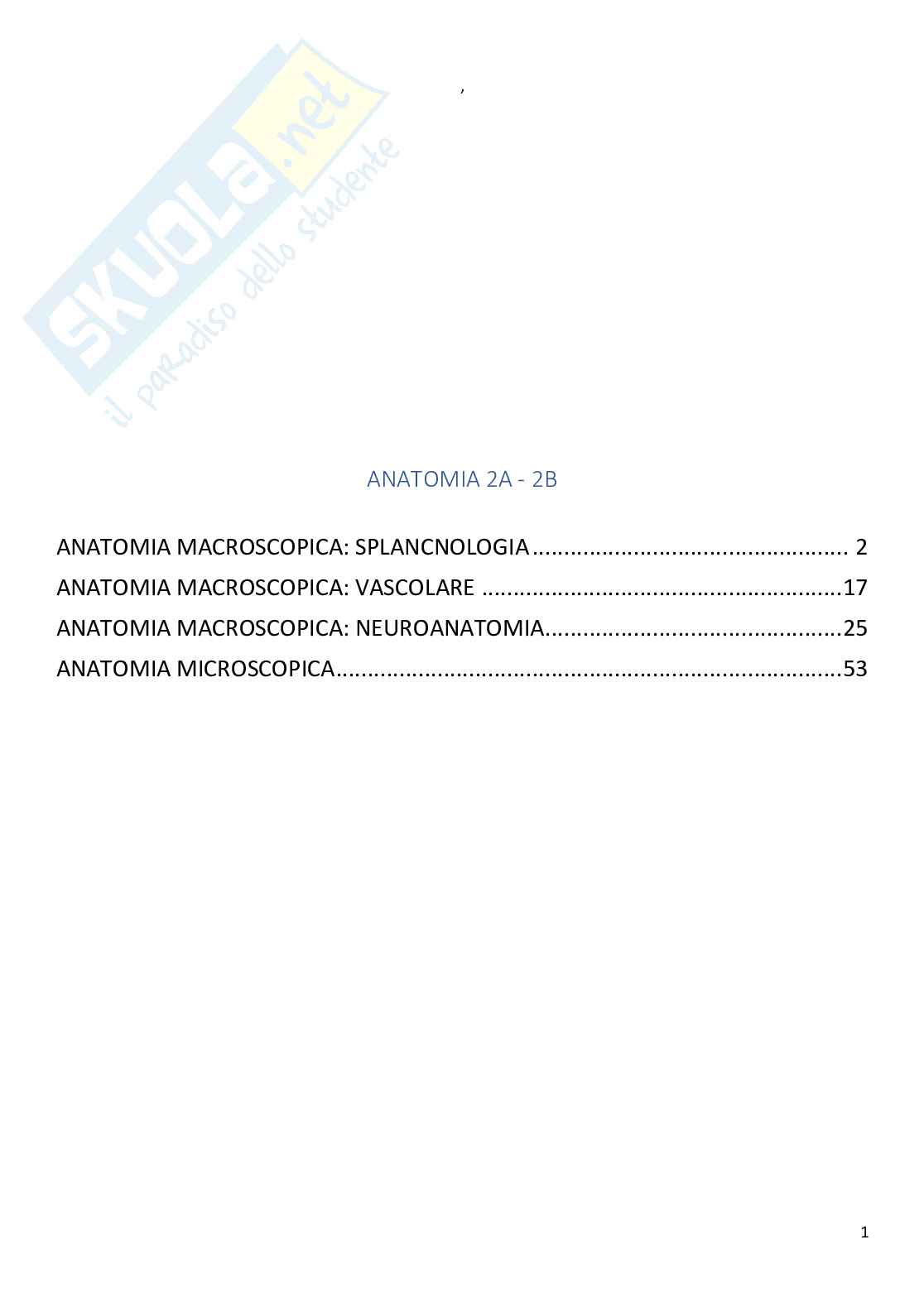 Anatomia e istologia umana - splancnologia, anatomia vascolare, neuroanatomia Pag. 1