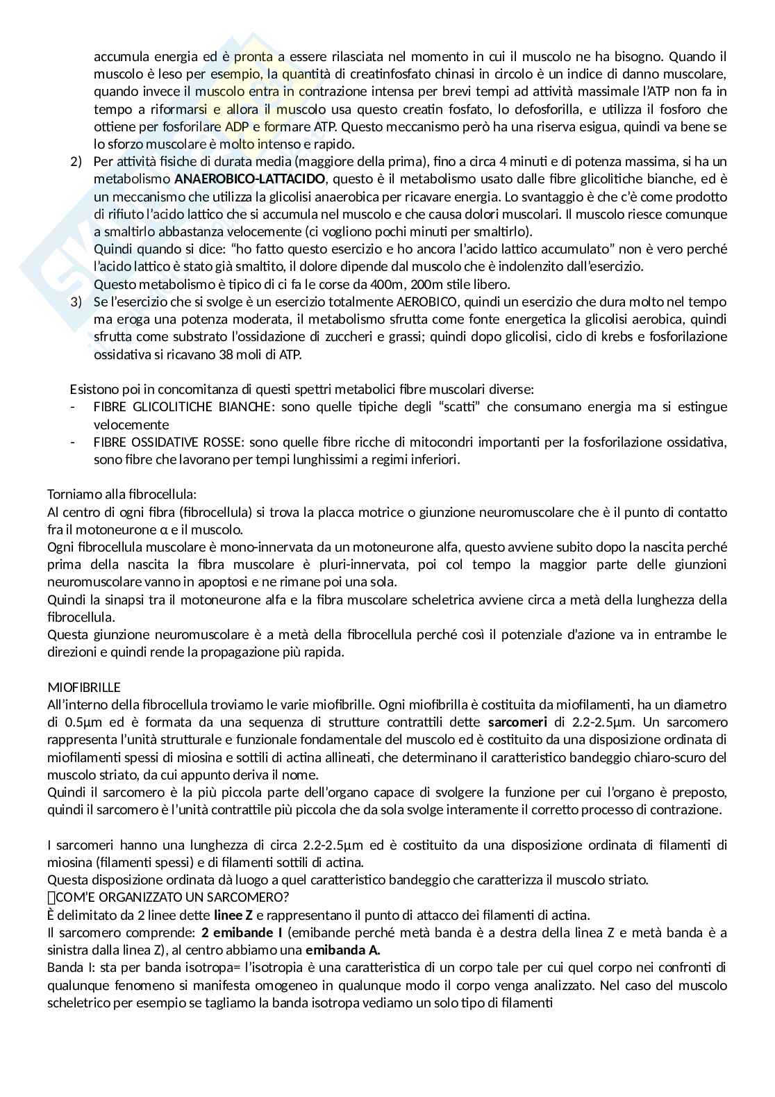 tessuto muscolare (fisiologia) Pag. 6