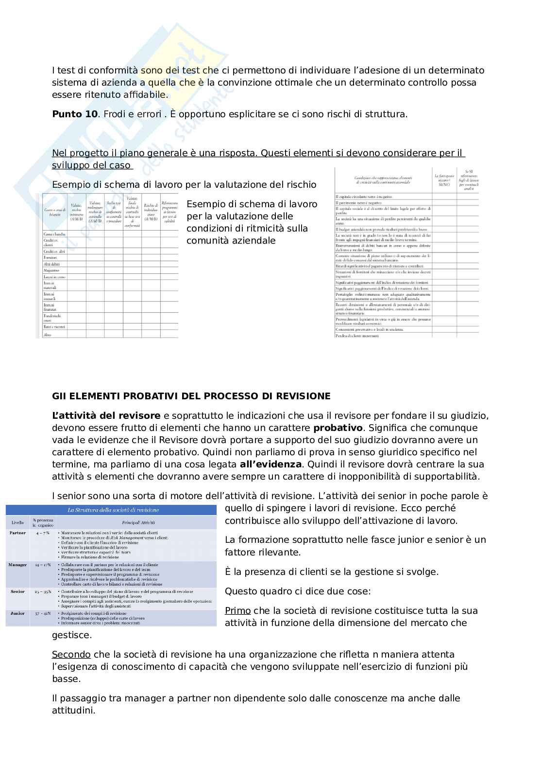 Appunti di Revisione aziendale Pag. 46