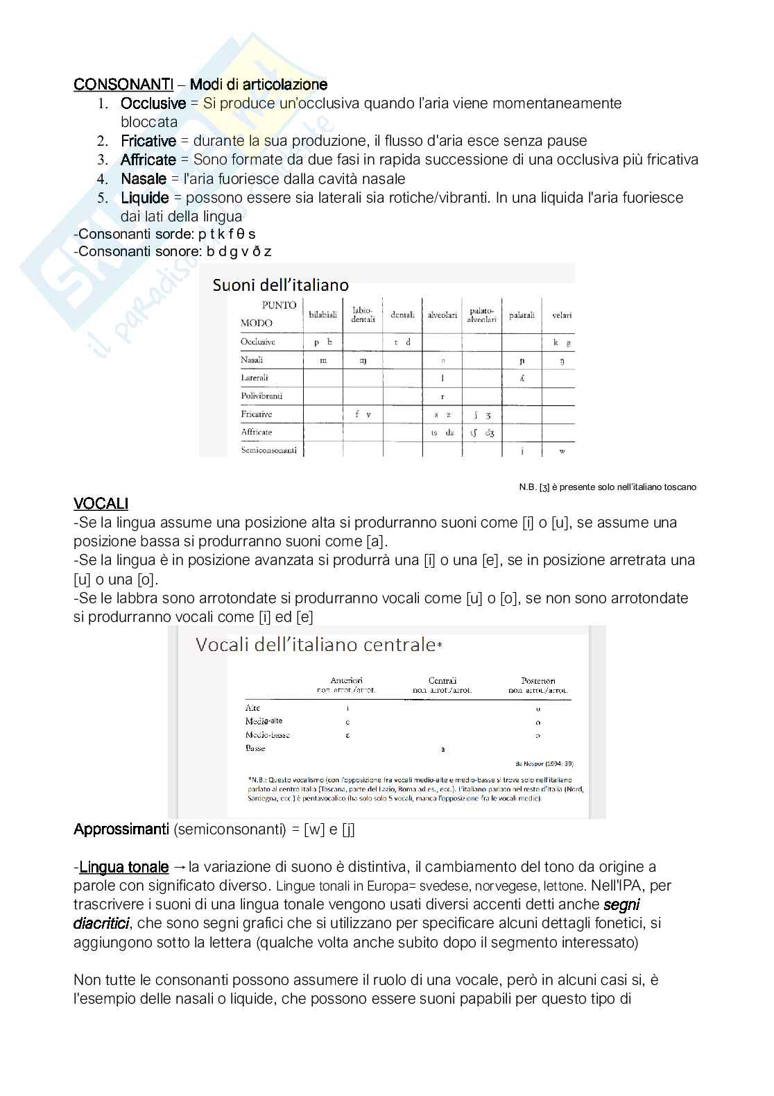 Appunti Linguistica generale Pag. 11