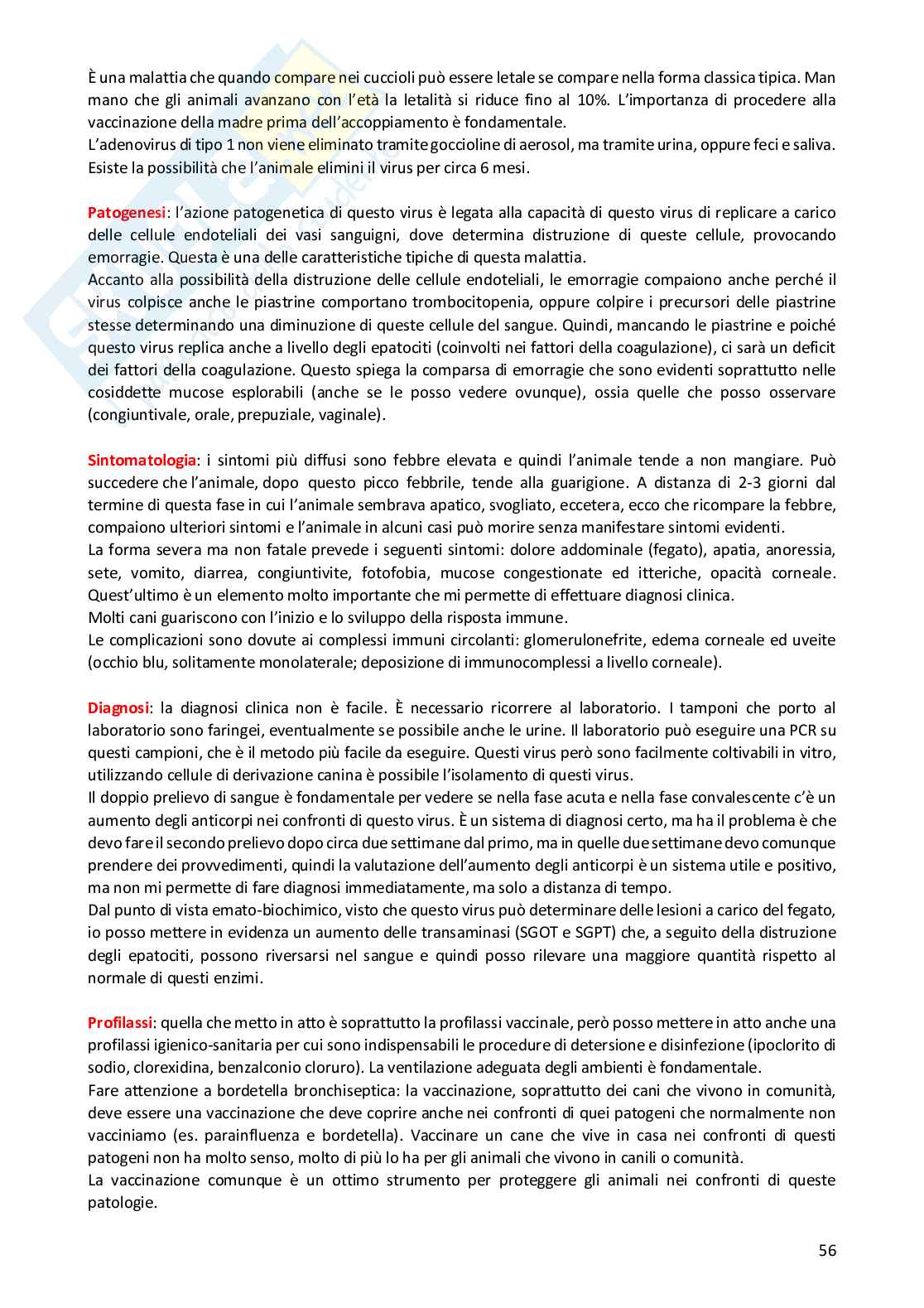 Malattie infettive e zoonosi Pag. 56