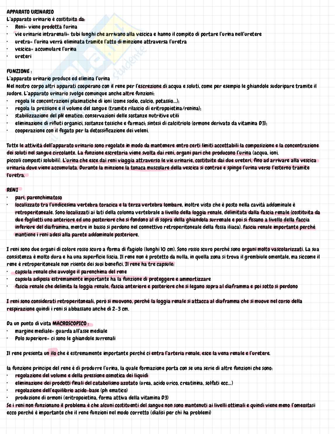 Appunti di Anatomia e istologia sull’apparato urinario  Pag. 1