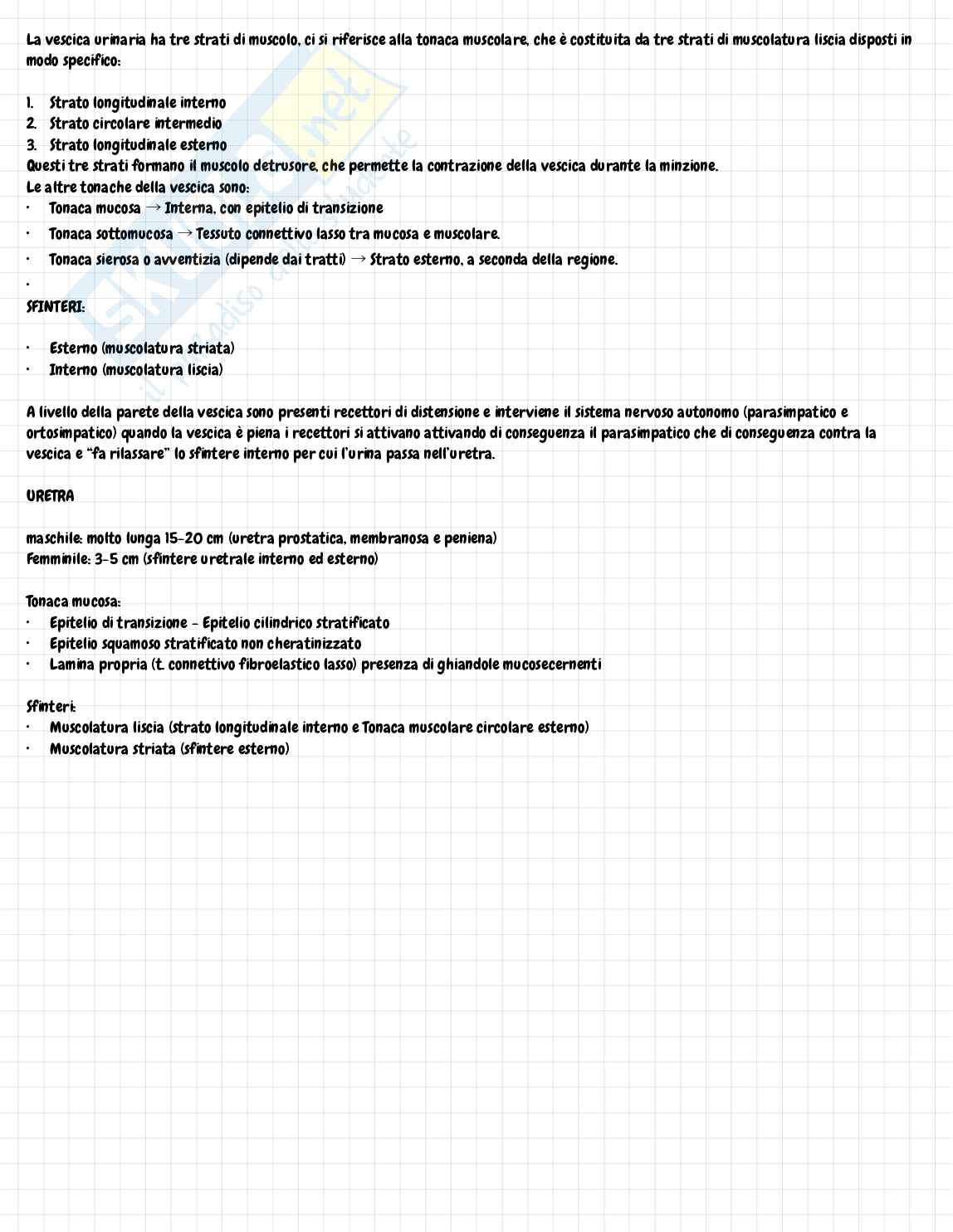 Appunti di Anatomia e istologia sull’apparato urinario  Pag. 6