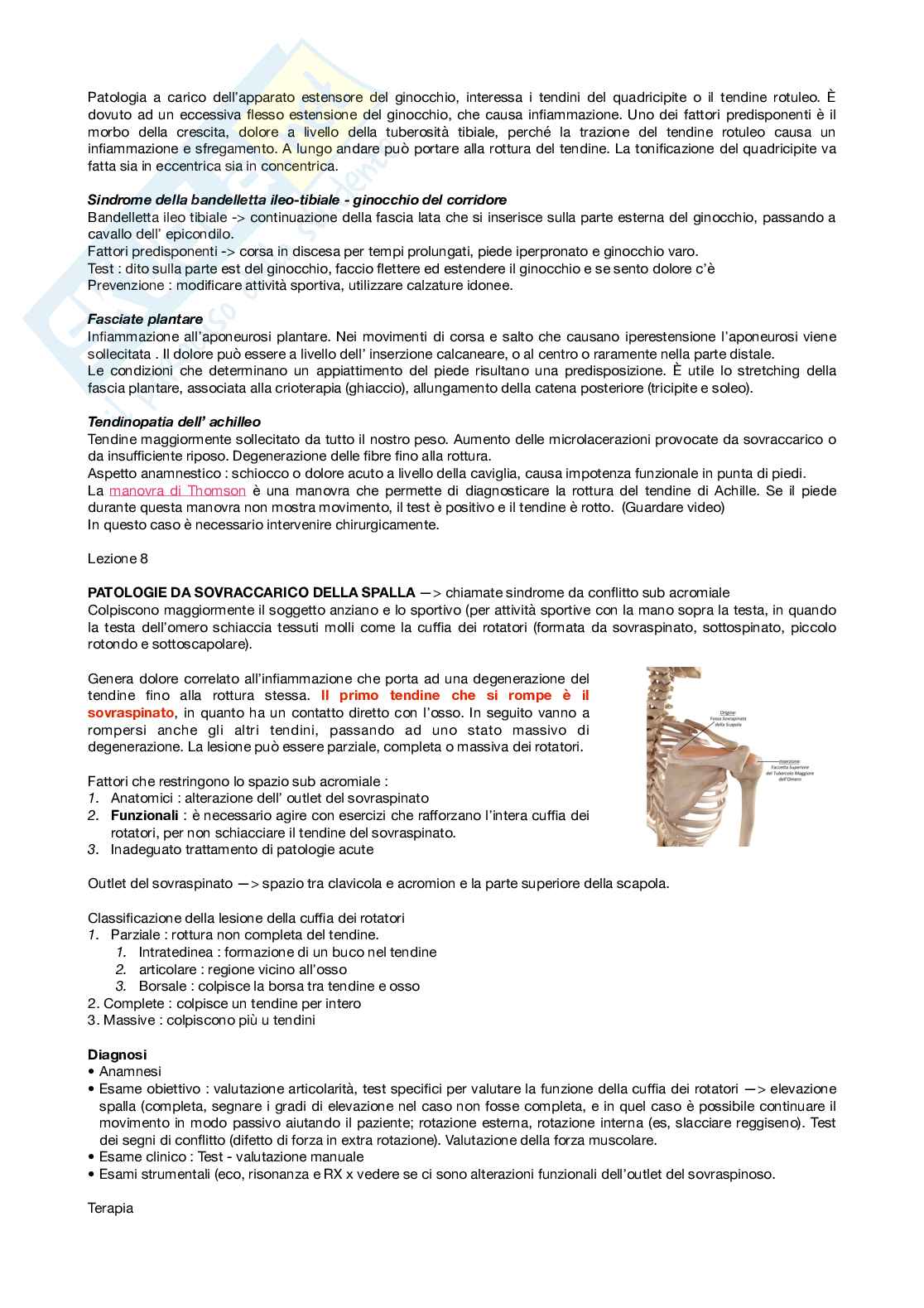 Malattie dell’apparato locomotore - ortopedia  Pag. 11