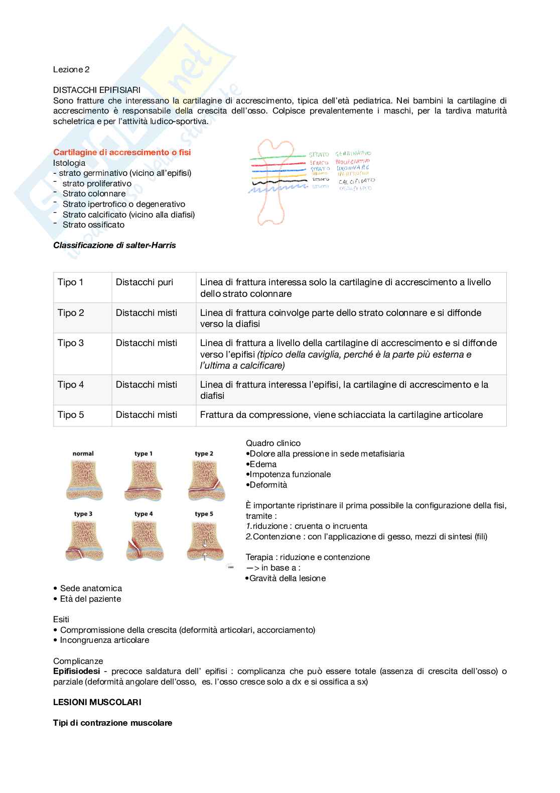 Malattie dell’apparato locomotore - ortopedia  Pag. 2