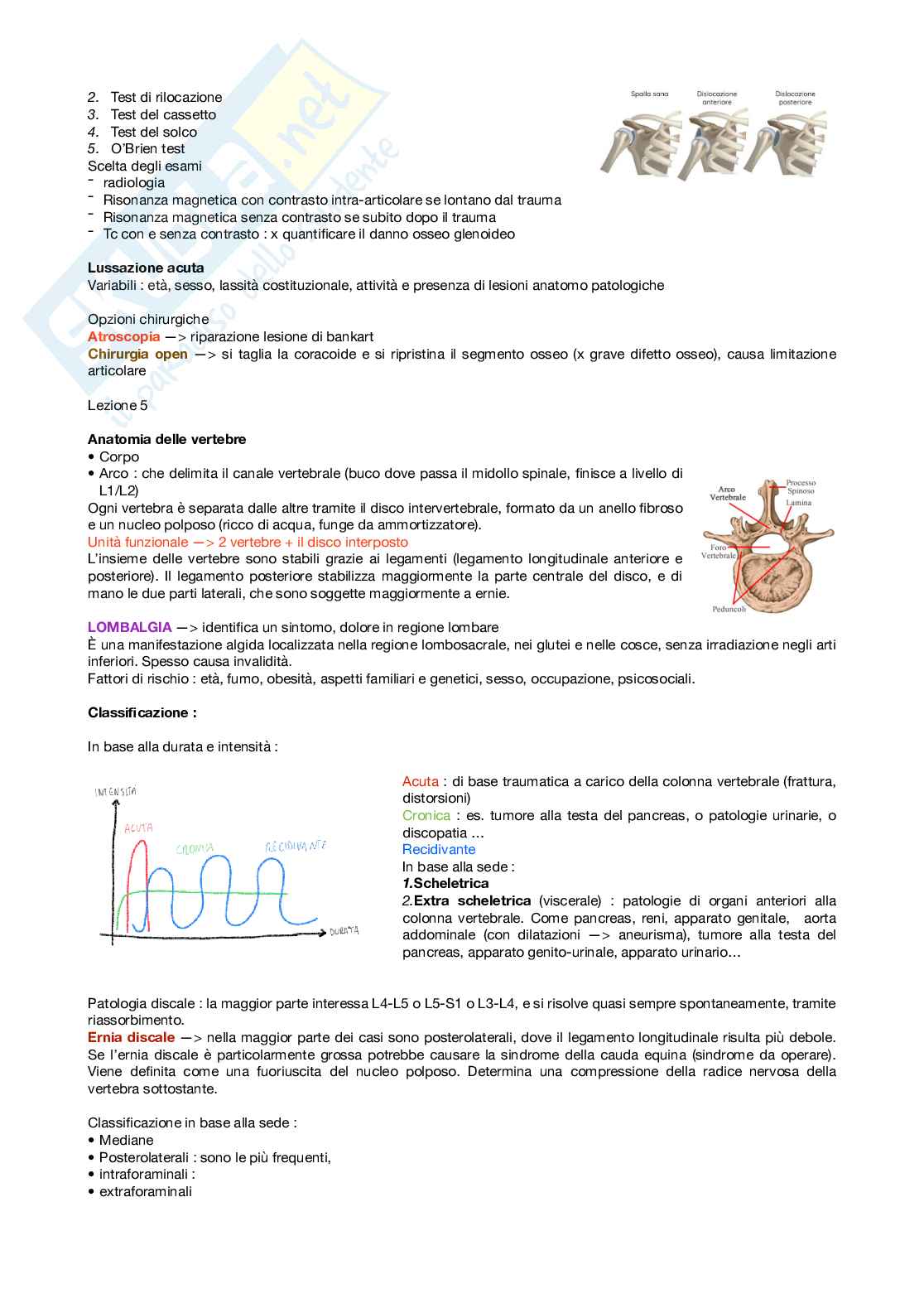 Malattie dell’apparato locomotore - ortopedia  Pag. 6