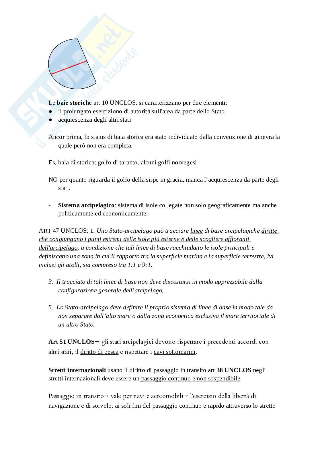 Appunti lezioni Diritto della navigazione e dei trasporti Pag. 11