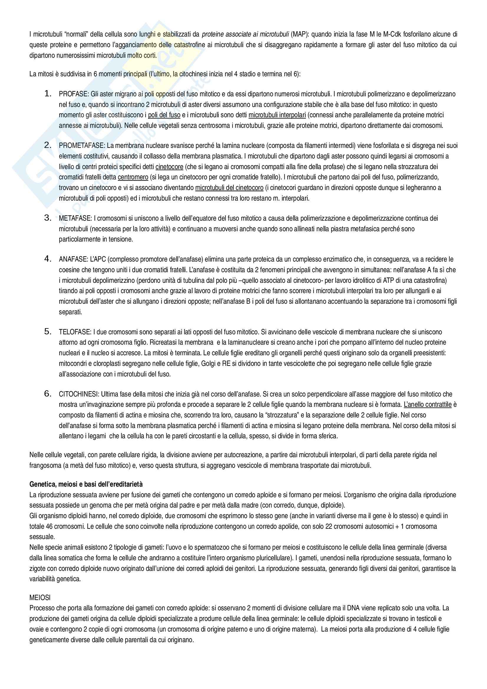 Riassunto esame Biologia, prof. Rossella, libro consigliato L'essenziale di biologia molecolare della cellula Alberts, Bray Pag. 31