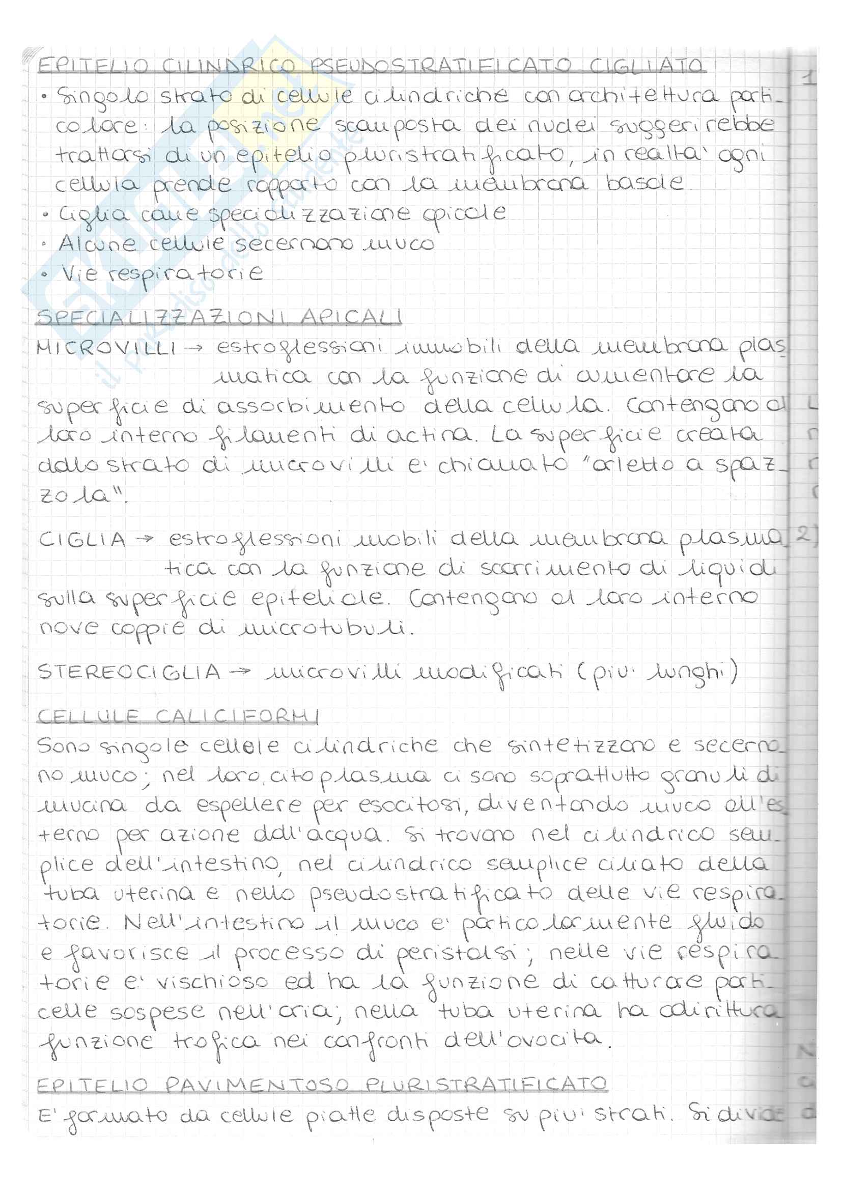 Appunti Istologia Pag. 2
