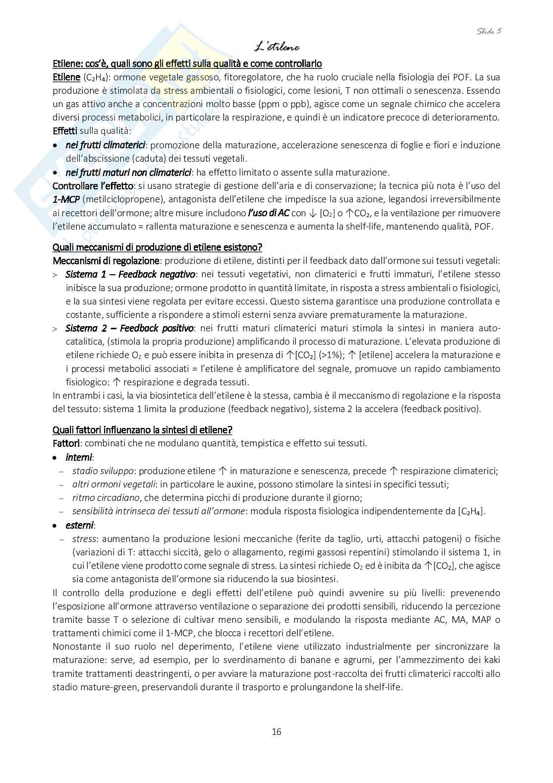 Appunti di Alimenti di origine animale e vegetale Pag. 16