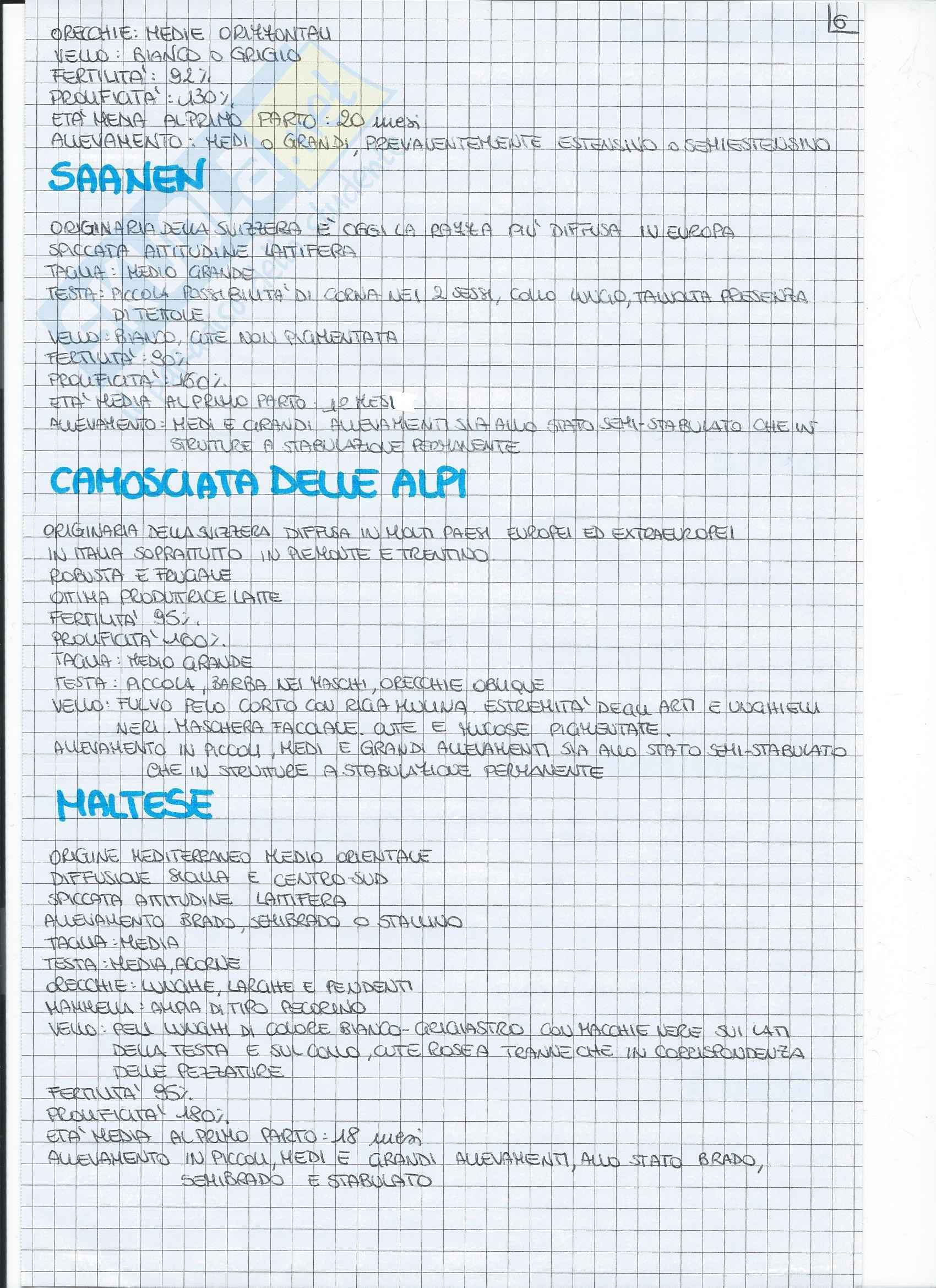 Etnografia Pag. 11
