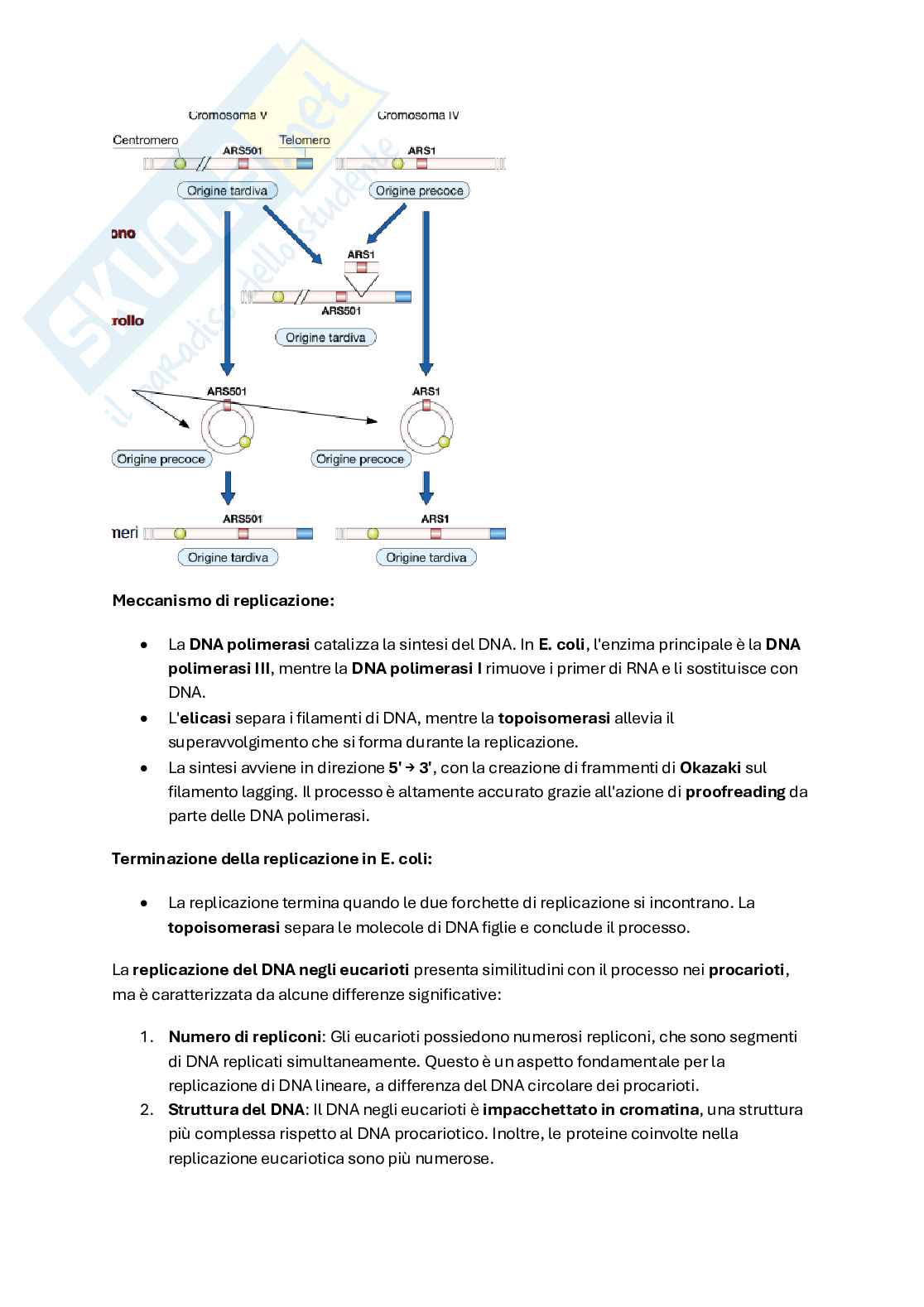 Biologia molecolare  Pag. 16