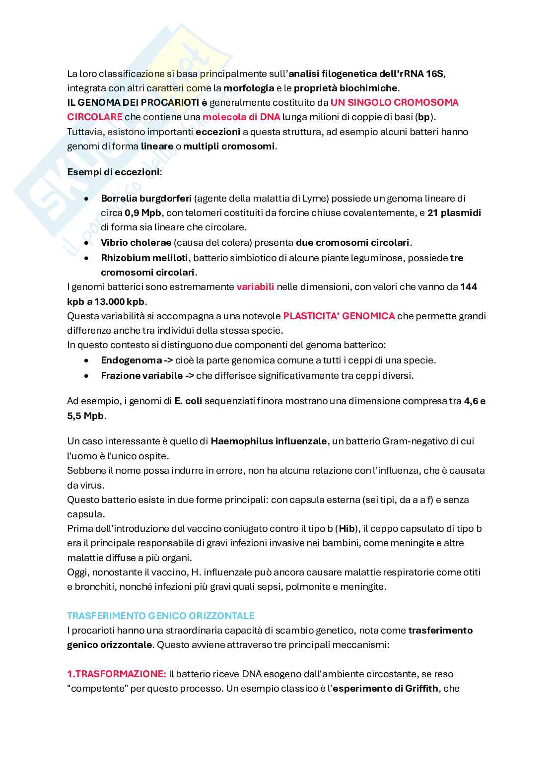 Biologia molecolare  Pag. 2