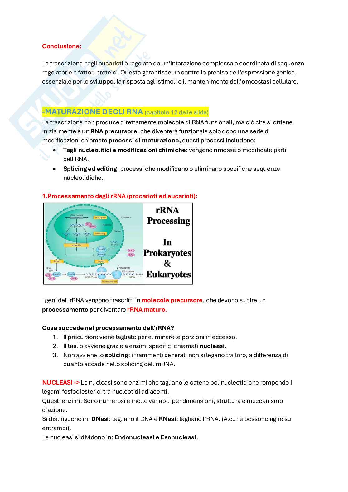 Biologia molecolare  Pag. 51