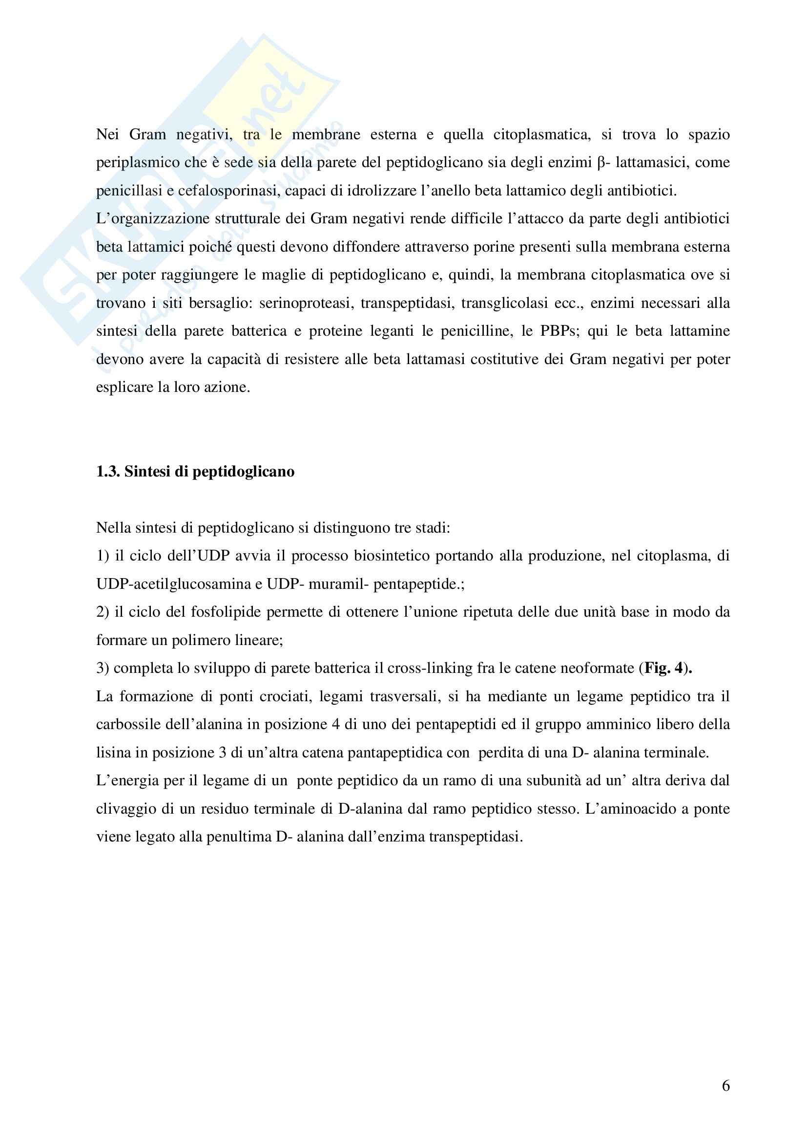 Chimica farmaceutica - penicilline Pag. 6