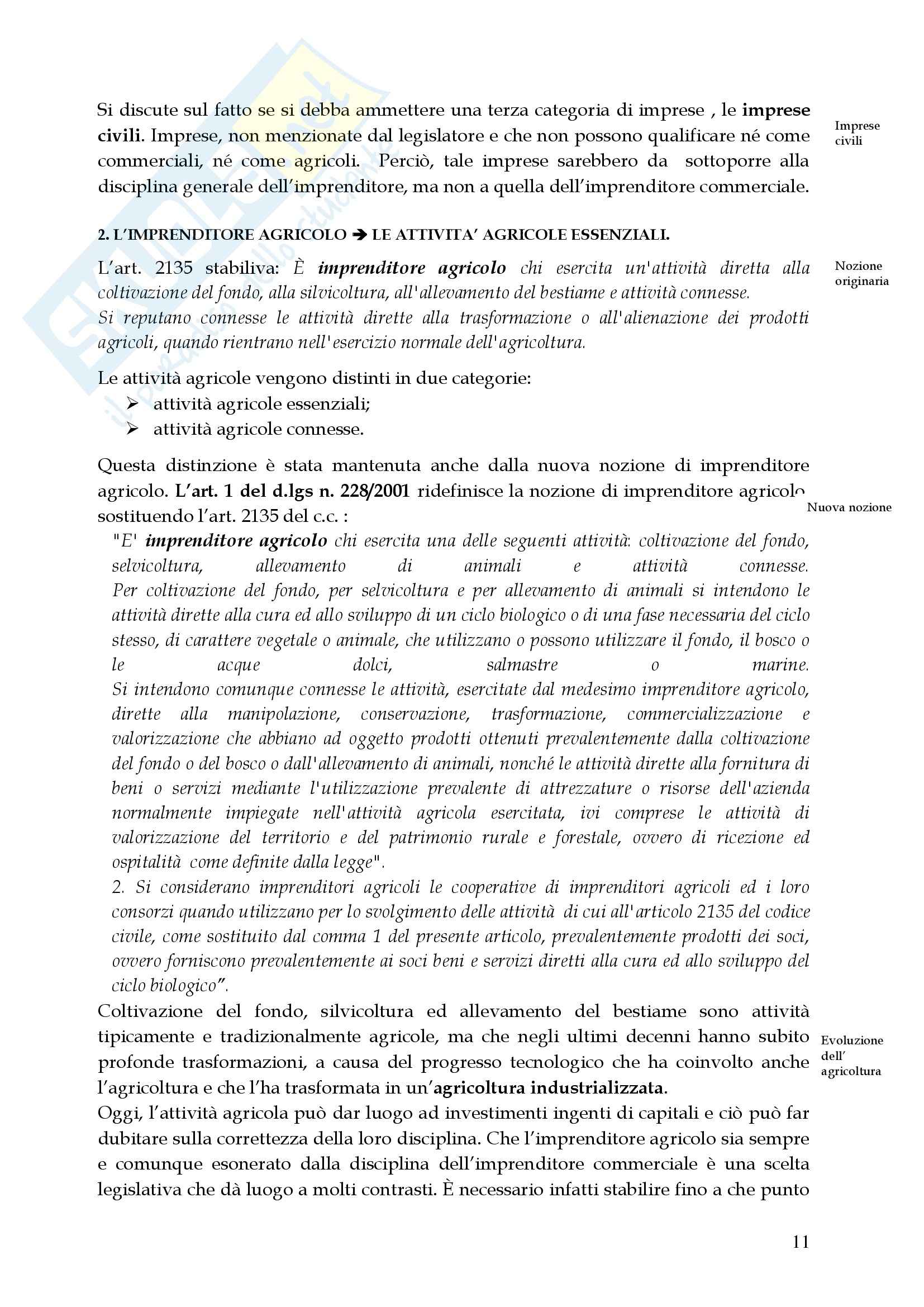 Riassunto esame Diritto Commerciale, prof. Libertini, libro consigliato Manuale di Diritto Commerciale, Campobasso Pag. 11