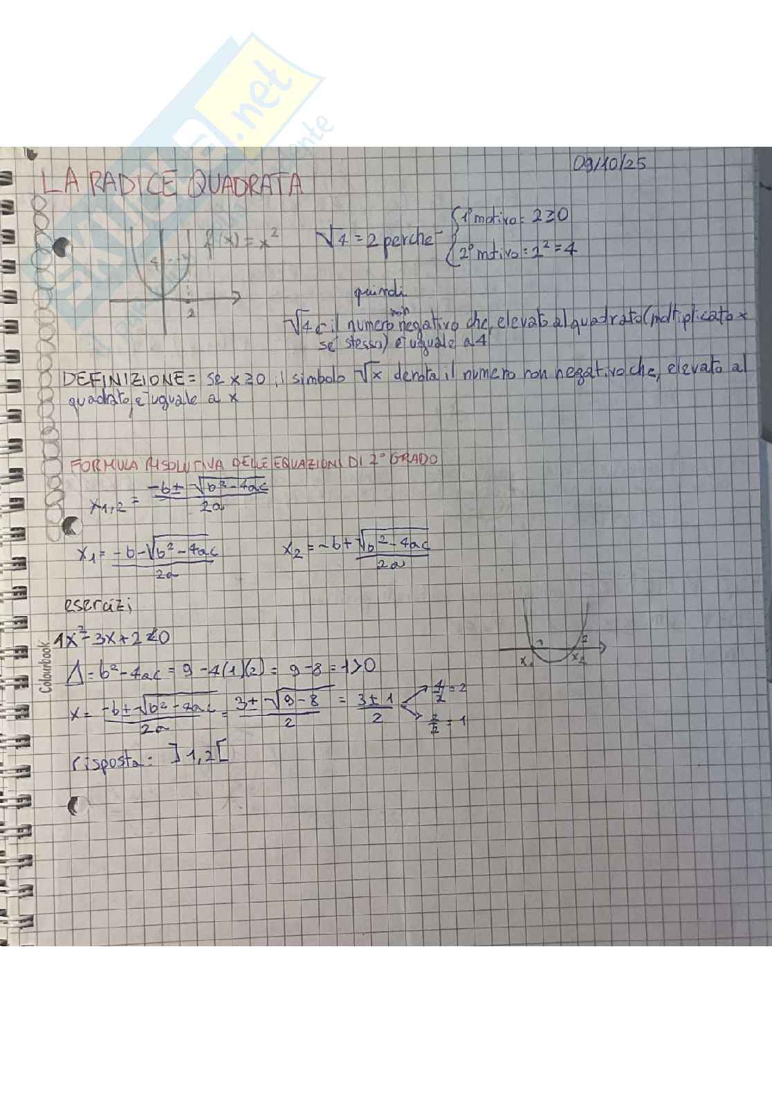 Riassunto esame Corso integrato di istituzioni di matematiche, Prof. Fiorenza Alberto, libro consigliato Elementi di analisi matematica e Geometria con prerequisiti ed esercizi svolti, Crasta, Malusa Pag. 11