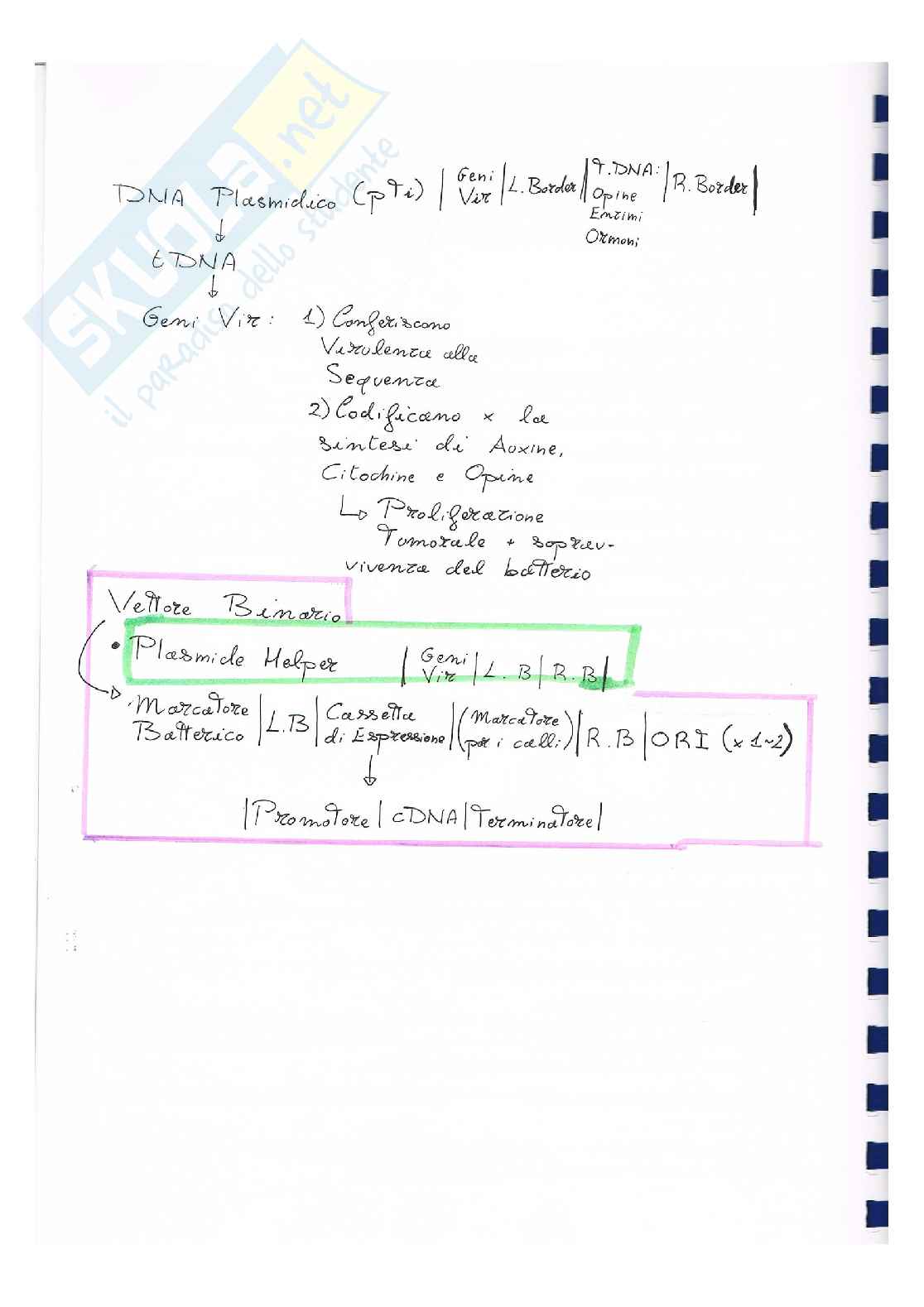 Biotecnologie per il Controllo degli Allergeni Pag. 6