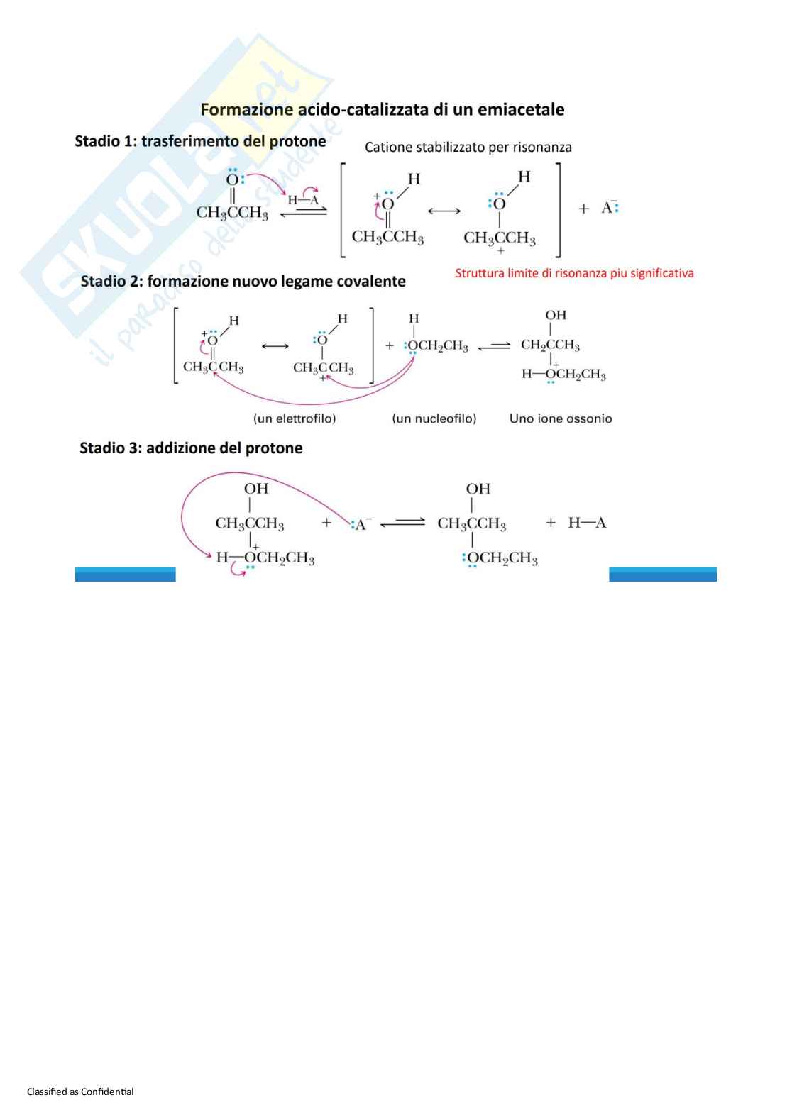 Appunti Chimica organica con laboratorio Pag. 26