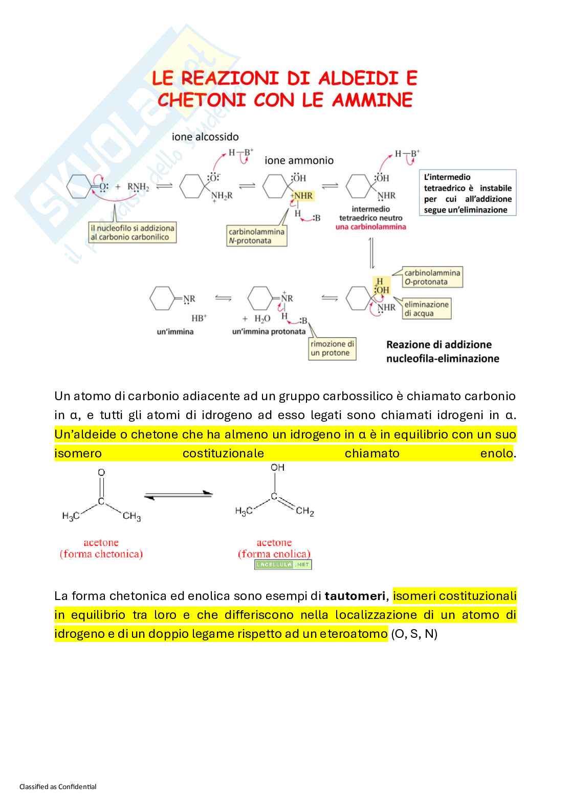 Appunti Chimica organica con laboratorio Pag. 31