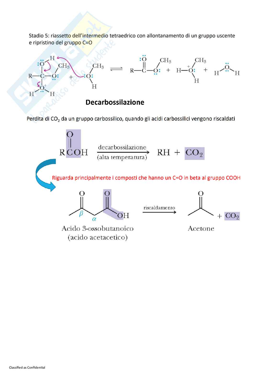 Appunti Chimica organica con laboratorio Pag. 46