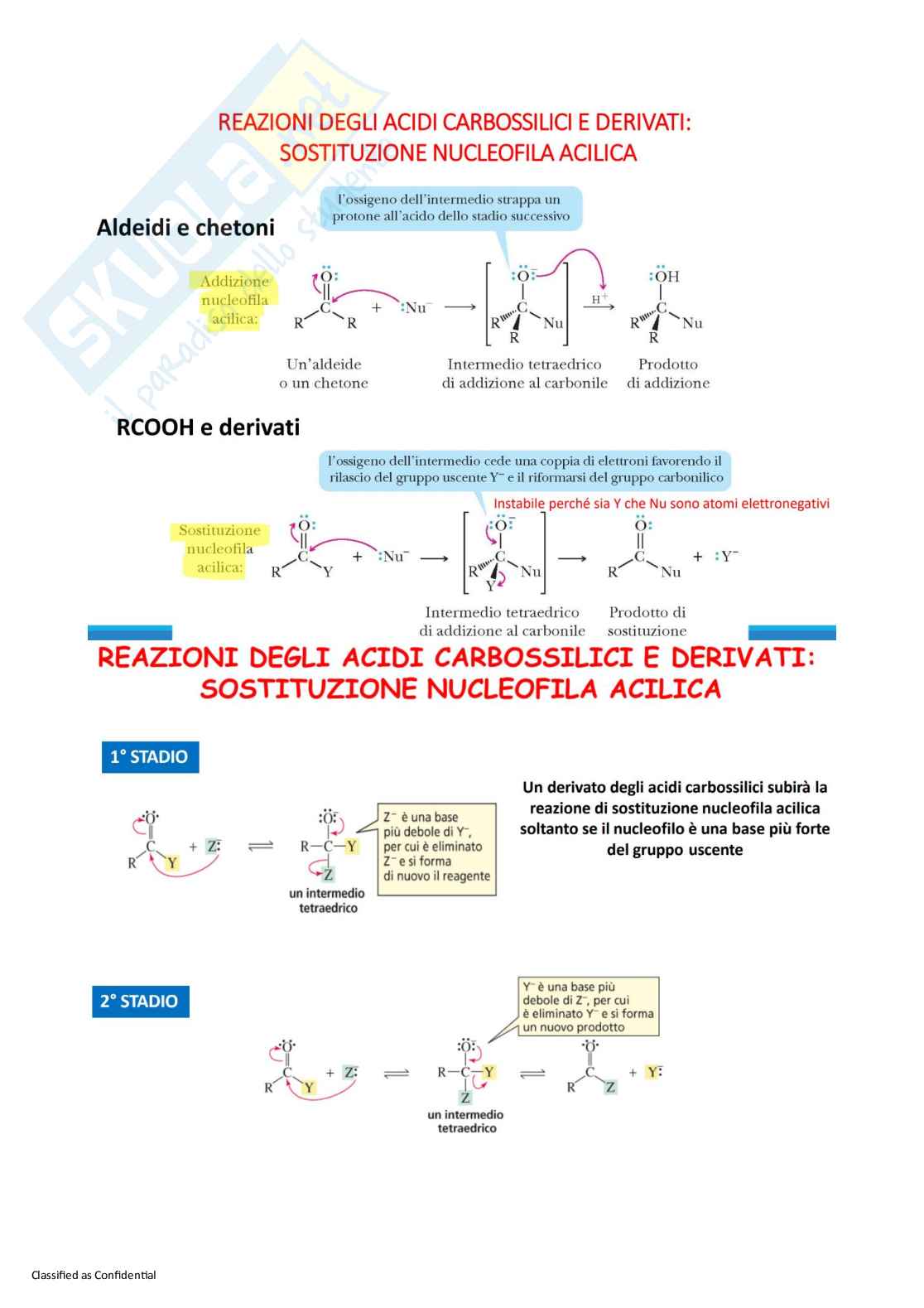 Appunti Chimica organica con laboratorio Pag. 51
