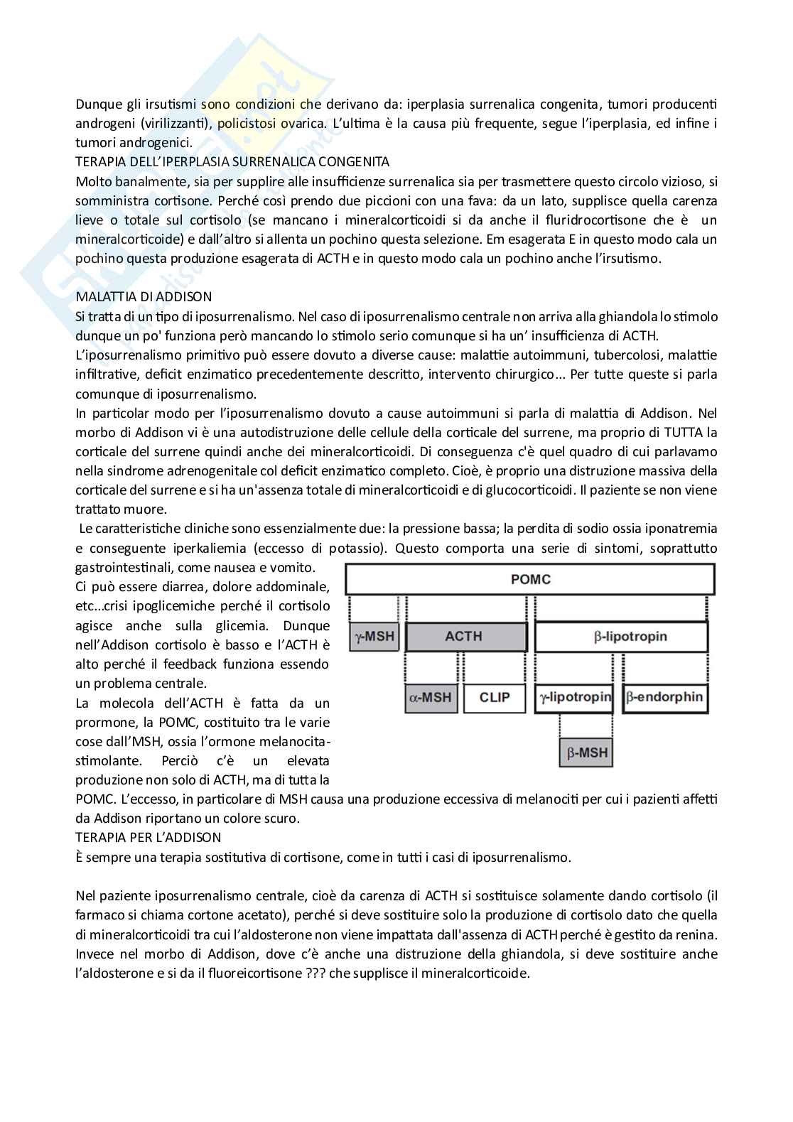 Endocrinologia  Pag. 36