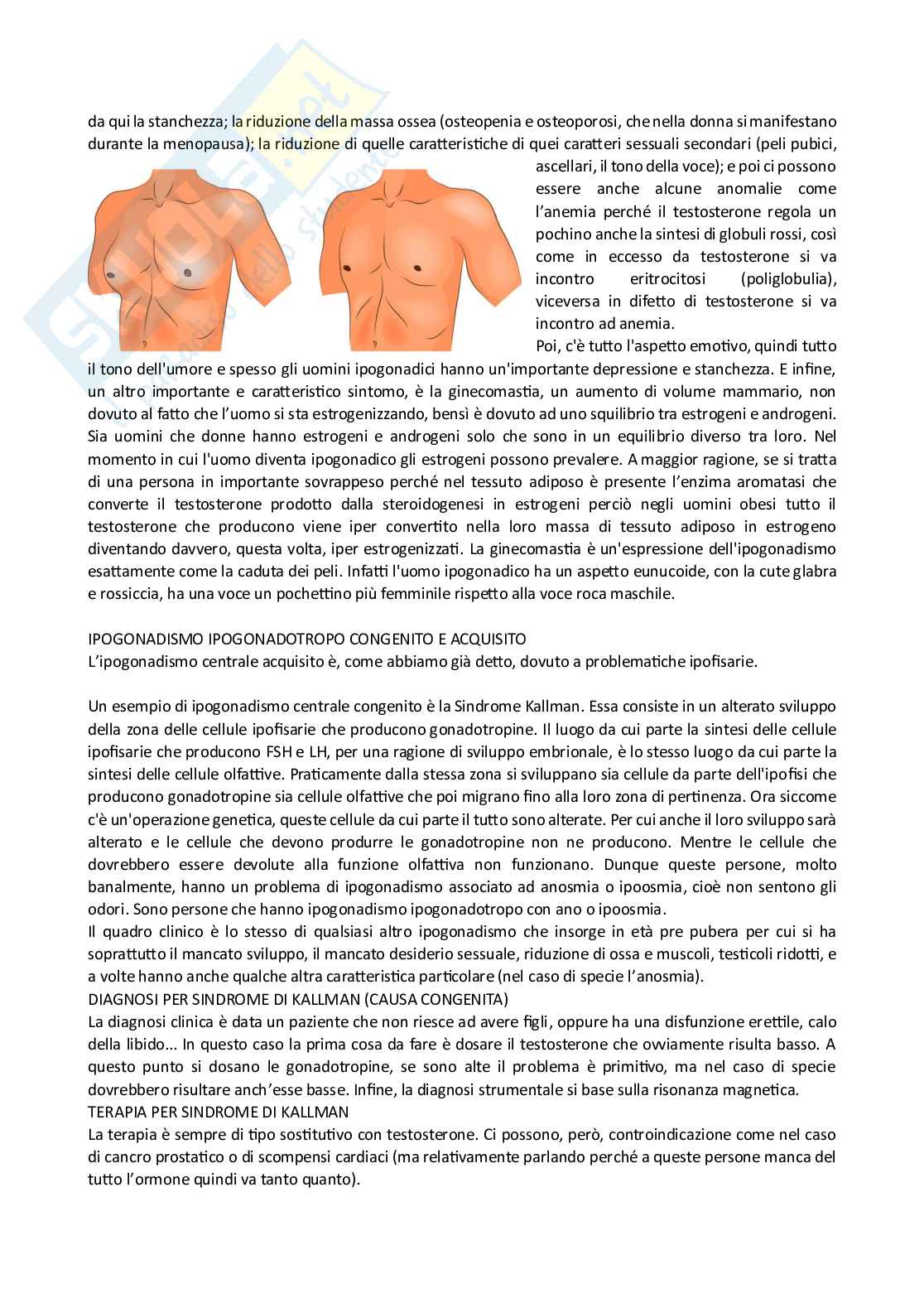 Endocrinologia  Pag. 41