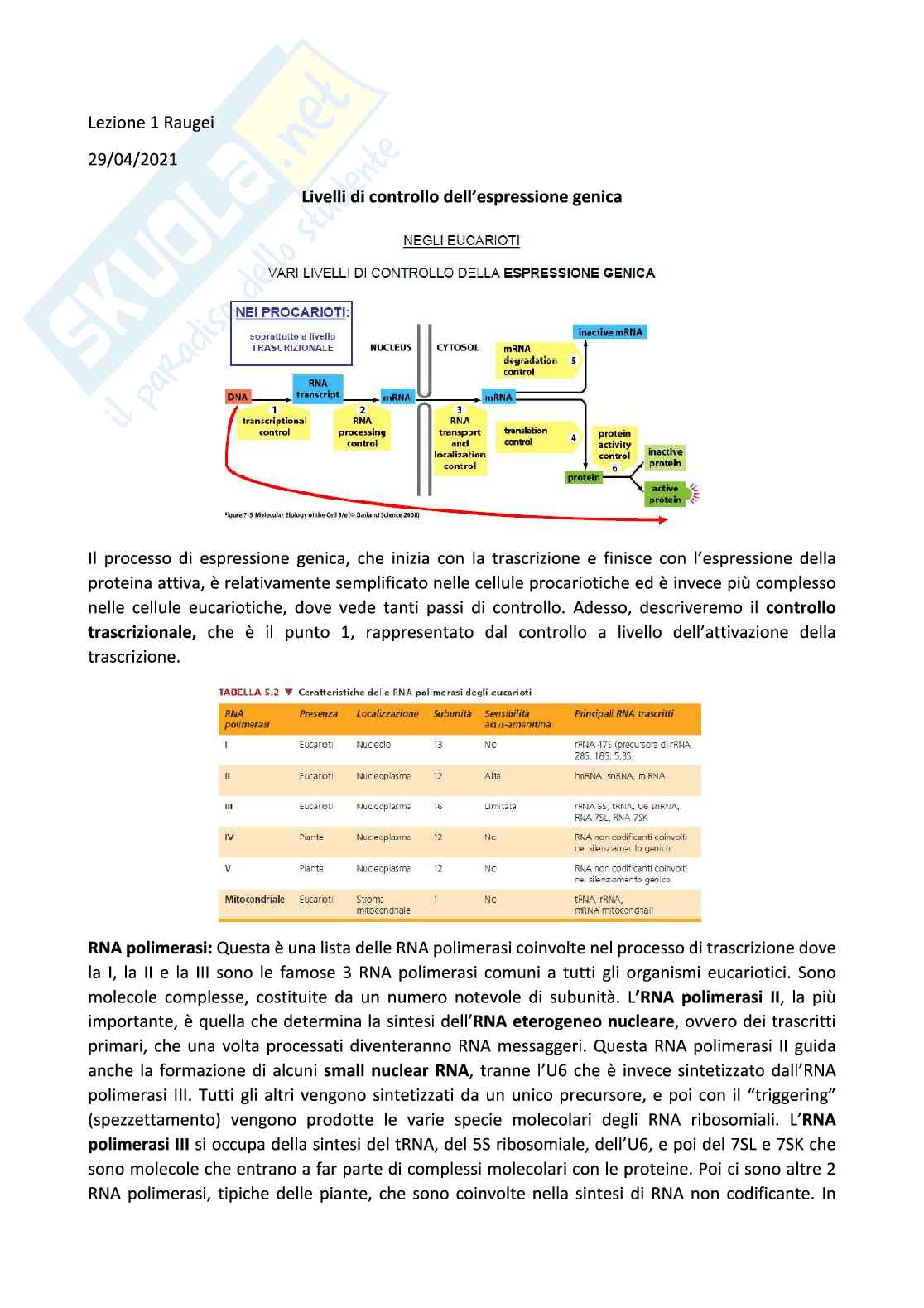 Biologia molecolare Pag. 1