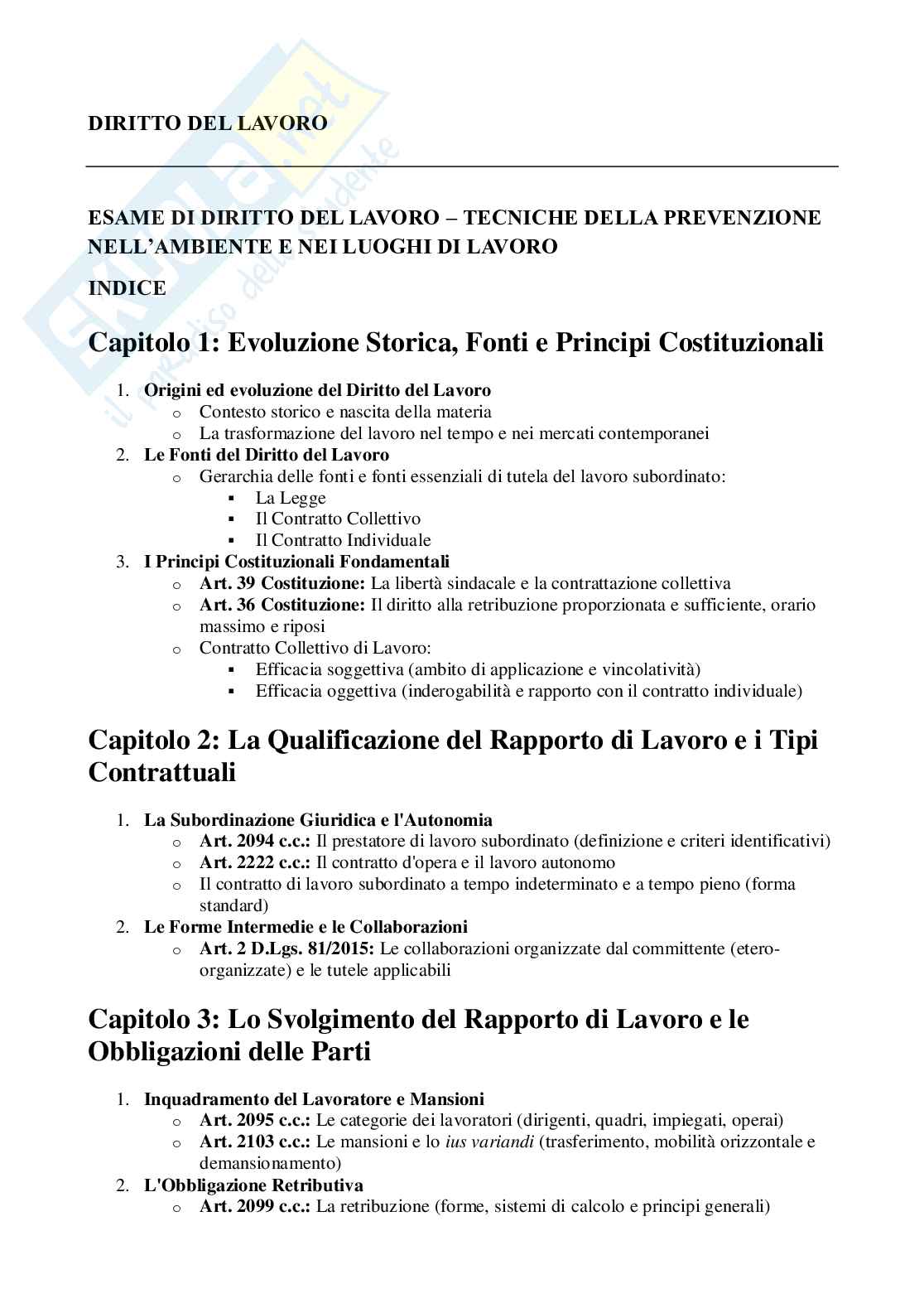 Diritto del lavoro - Origini, articoli di riferimento e tutela della sicurezza Pag. 1